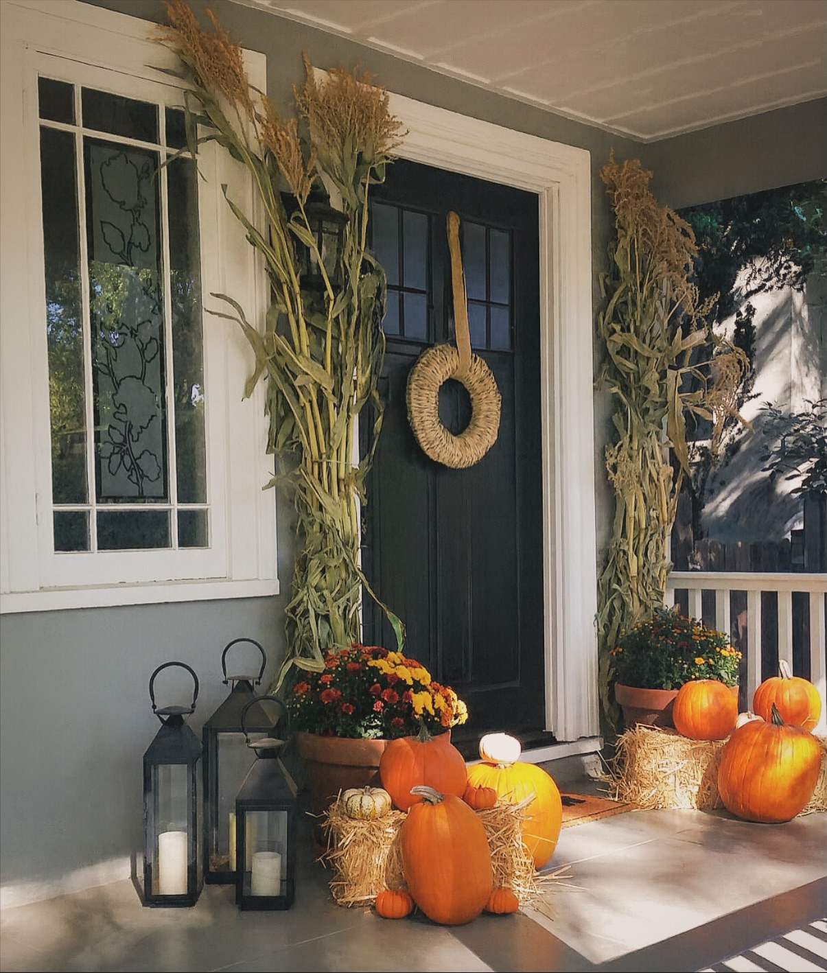 The prefect fall vibes have been found 🌽🌻🍂🍁