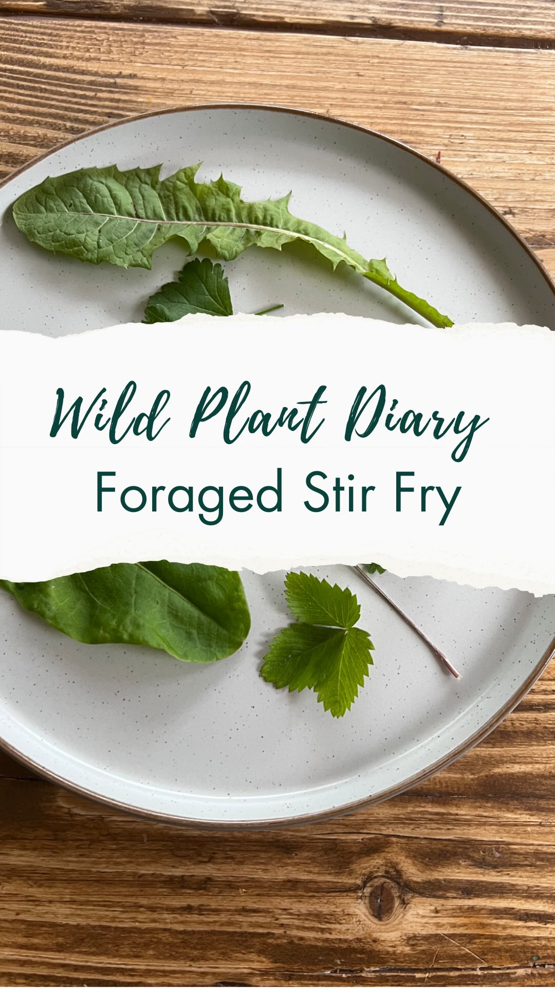 In my experience, the best way to add wild foods to your diet is to:
A) forage from nearby spots - I picked these greens from my garden
B) add them to meals you’d be cooking anyway. Foraging doesn’t have to be complicated.
The extract of my wild plant diary below explains which plants I used. Save to inspire your future meals 💚
🌸🌱 Wild plant diary # 11
My husband is used to finding mystery greens in his food 🙊
I’m always trying to think of ways to add more plant diversity into my diet, and foraged greens are a great way of doing this.
Today I went out into my garden and picked a small handful of plants to include in my stir fry.
I included:
- nettle
- Musk mallow leaves
- Dandelion leaf (a big one!)
- Yarrow leaves
I chopped them up and added them in the end of the stir fry.
Simples.
When I first started foraging I felt a lot of pressure to harvest large amounts and make complicated meals and I found myself feeling overwhelmed.
Then I realised that foraging doesn’t have to be complicated. A handful here or there added to what you’re eating is a great way to diversify your nutrition.
🌸🌱Subscribe to follow my Wild Plant Diaries 🌿
I’m sharing the plants I spot in everyday life to show how easy (and joyful!) it is to notice the wild friends growing around us. I have an interest in foraging and crafting with wild plants and also in folklore and mythology. A world where we know them is a better one—for us and for the planet. Follow me if you would like to join along to learn more✨