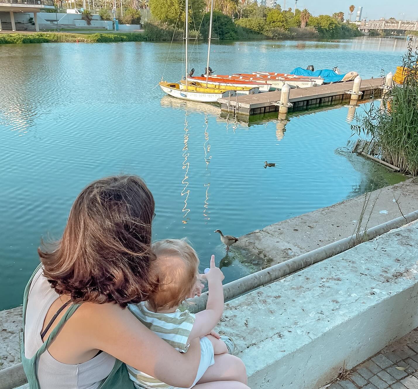 בימים האחרונים הייתי בכמה חגיגות של ״הרמות כוסית” לקראת החג, במסגרת פרויקטים שאני מעורבת בהם.
כמה שאפשר לקרוא לזה חגיגה, כשכל כך קשה לחגוג.
בכל מקום חזרה אותה תפילה:
לשובם של האחים והאחות החטופים שלנו.
לשובם בשלום של כל החיילים והחיילות שלנו הביתה.
לסיומה של המלחמה.
לכך שאף אמא לא תצטרך יותר להישאר ערה כל הלילה ולפחד מהדפיקה בדלת.
אז אני רוצה להניח כאן את הכוונה הזו, בתקווה שאם כולנו נייחל ונבקש יחד - אולי השנה הזו תביא איתה בשורה של תיקון וריפוי.
הלוואי שהשנה הזו תהיה טובה ומתוקה, מלאה בתקווה, אהבה ונחמה.
שנה של חברות, שלווה גדולה, קשרים עמוקים יותר, ופריחה מחודשת.
לו יהי.
💛
ליטל