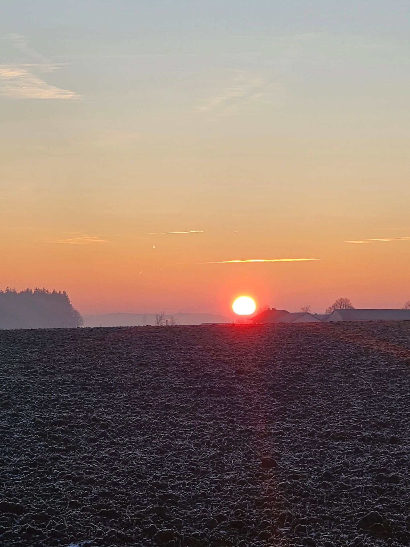 YOGA RETREAT
Bewusster Jahresstart 🌞
23.- 25. Januar 2026
Nähe Landshut
@vierfalt.de
Das neue Jahr mit Intentionen und Klarheit starten.
Dir gleich zu Jahresbeginn eine Auszeit mit Sauna, Natur, Yoga und leckerem Essen schenken.
Zeit allein oder in Gemeinschaft genießen, unaufgeregt und leicht.
Klingt nach dem was du brauchst?
Dann schnapp dir einen Platz und tauche ein Wochenende mit uns ab 🧘🏼♀️
Zum dritten Mal sind wir hier, zum dritten Mal starten wir das Jahr gemeinsam und zum dritten Mal sehen sich einige Yogis wieder.
Was dich erwartet?
Vinyasa Yoga | Yin Yoga | Yoga Nidra | Meditation | Workbook dass dich dabei unterstützt tiefer in die Reflektion und Ausrichtung abzutauchen | ayurvedisch angehauchte Küche | ein altes Gutshaus nur für uns | Möglichkeit für 1:1 Sessions | Sonnenaufgang- und untergang
Du hast noch Fragen?
Gern mit 🌞 kommentieren & ich melde mich bei dir!
Ich freue mich auf die Zeit, aufs Wiedersehen, auf die besondere Energie!
Love, Chrisi
Mehr Infos, Link in Bio oder 🌞
.
.
.
.
#yogaretreat #vierfalt
#vielfalthof #yogaretreatjanuar #ayurvedaretreat #yogaundayurveda #yogajahresbeginn #yogalandshut #yogabayern #yogaundcoaching #persönlichkeitsentwicklung #Neuausrichtung #auszeit
