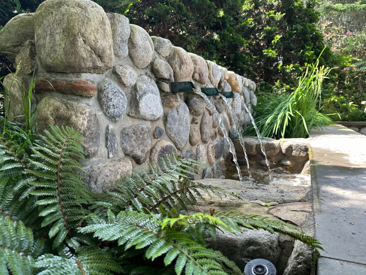 #AfterandBefore - One of multiple fountains at our #PotterCove site, sitting just behind a new seat wall. The consistent trickle provides tranquil background noise to an existing stone terrace, at this home in one of many lovely #WatchHillRI neighborhoods
1: August 2024
2: November 2020
#triplettdesignstudio #landscape #landscapedesign #landscapearchitecture #landscapelovers #residential #residentialgarden #residentialdesign #newengland #design #designer #garden #gardens #gardeninspo #gardeninspiration #gardendesign #gardensofinstagram #landscapedetails #gardensofRI #rilandscapedesign #rilandscapearchitecture #rhodeislandgardens #watchhill #watchhillri #throwbackthursday
Project completed while at Anne Penniman Associates