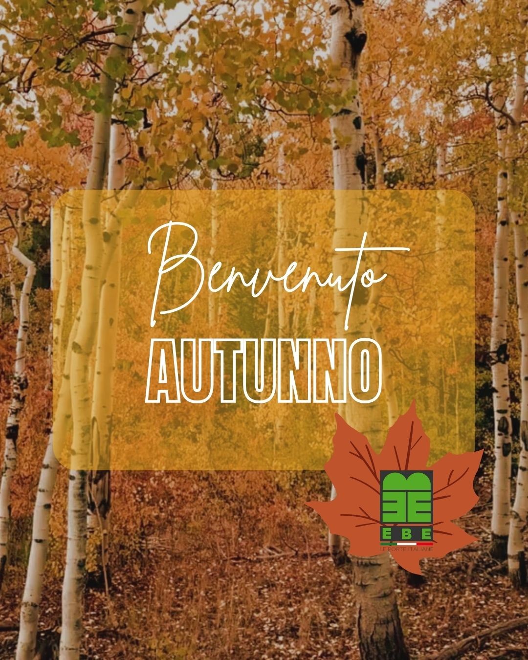 Benvenuto, Autunno! 🍂
Con l'arrivo dell'aria fresca, il cuore della tua casa ha bisogno di un'atmosfera più calda e accogliente.
E c'è un elemento che più di tutti sa regalare questa sensazione: le nostre porte!
Con le loro finiture in legno, dai toni naturali e avvolgenti, sono perfette per trasformare ogni ambiente nel rifugio perfetto per la nuova stagione.
Scegli la porta Ebe che darà il benvenuto a
tutto ciò che ami. ❤️
📍 via Manzoni, 1 Cercenasco (TO)
📞 +39 011 980 97 30
🌐 www.ebeporte.it
#EbePorte #BenvenutoAutunno #Autunno #PorteInterne #HomeDecor #Arredamento #CasaAccogliente #DesignItaliano #PorteInLegno #HomeStyle #RinnovareCasa #MadeInItaly #Cercenasco #Torino
