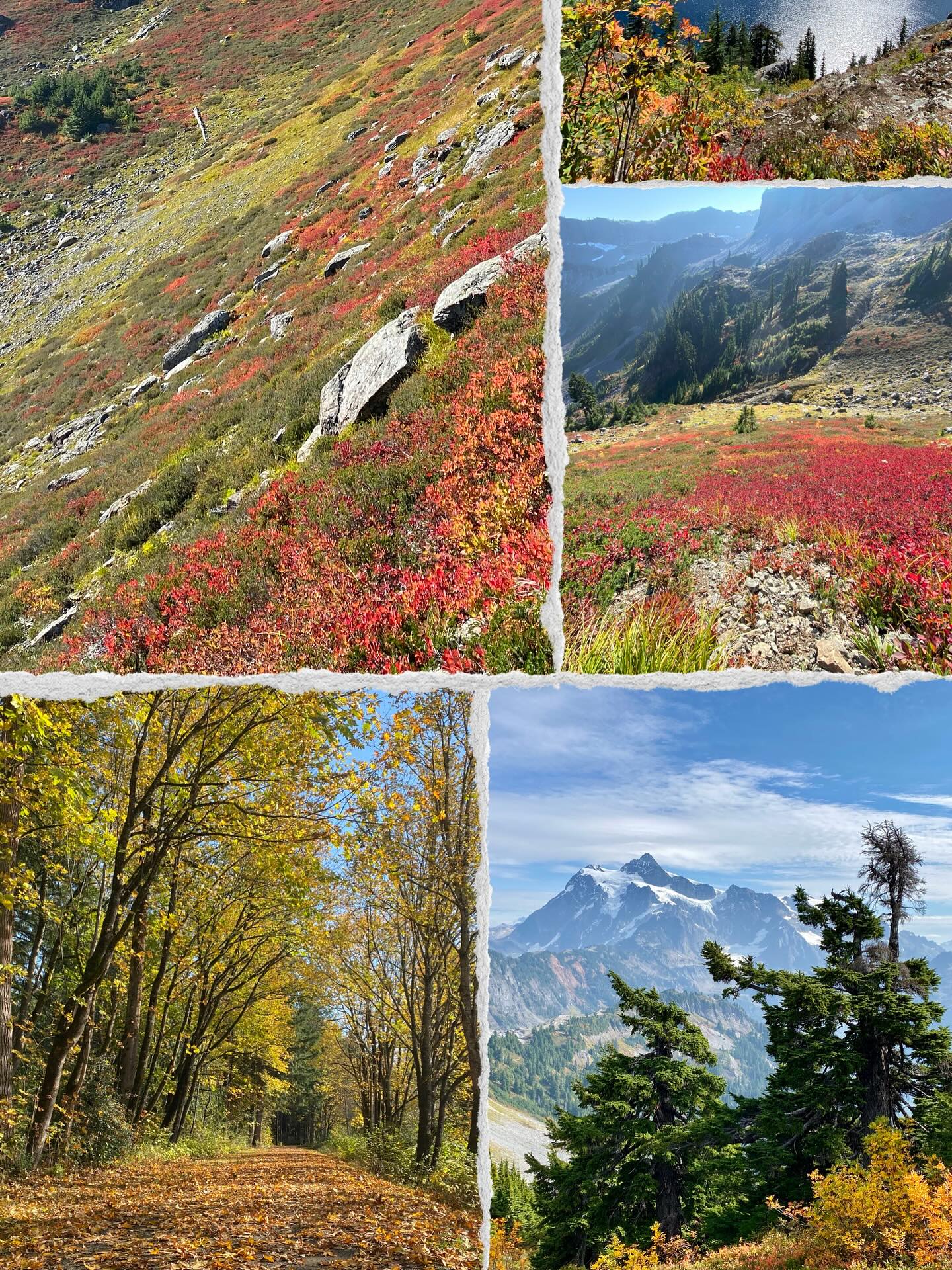 Happy first day of the autumn!! trees are shedding and we are layering, what a beautiful annual dance! #trailbliss #washingtontrails