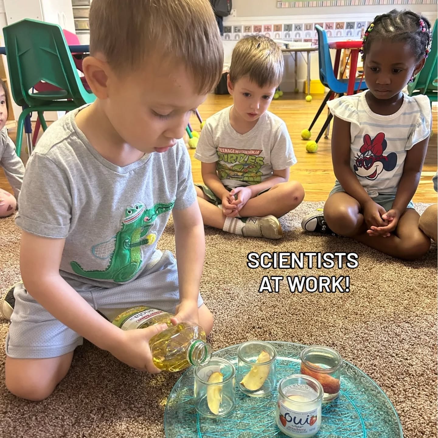 Our TK students are practicing their observational skills by studying what happens to apple slices over time when they are submerged in different substances. #transitionalkindergarten #preschoolactivities #welovescience #veritasatelmwood
