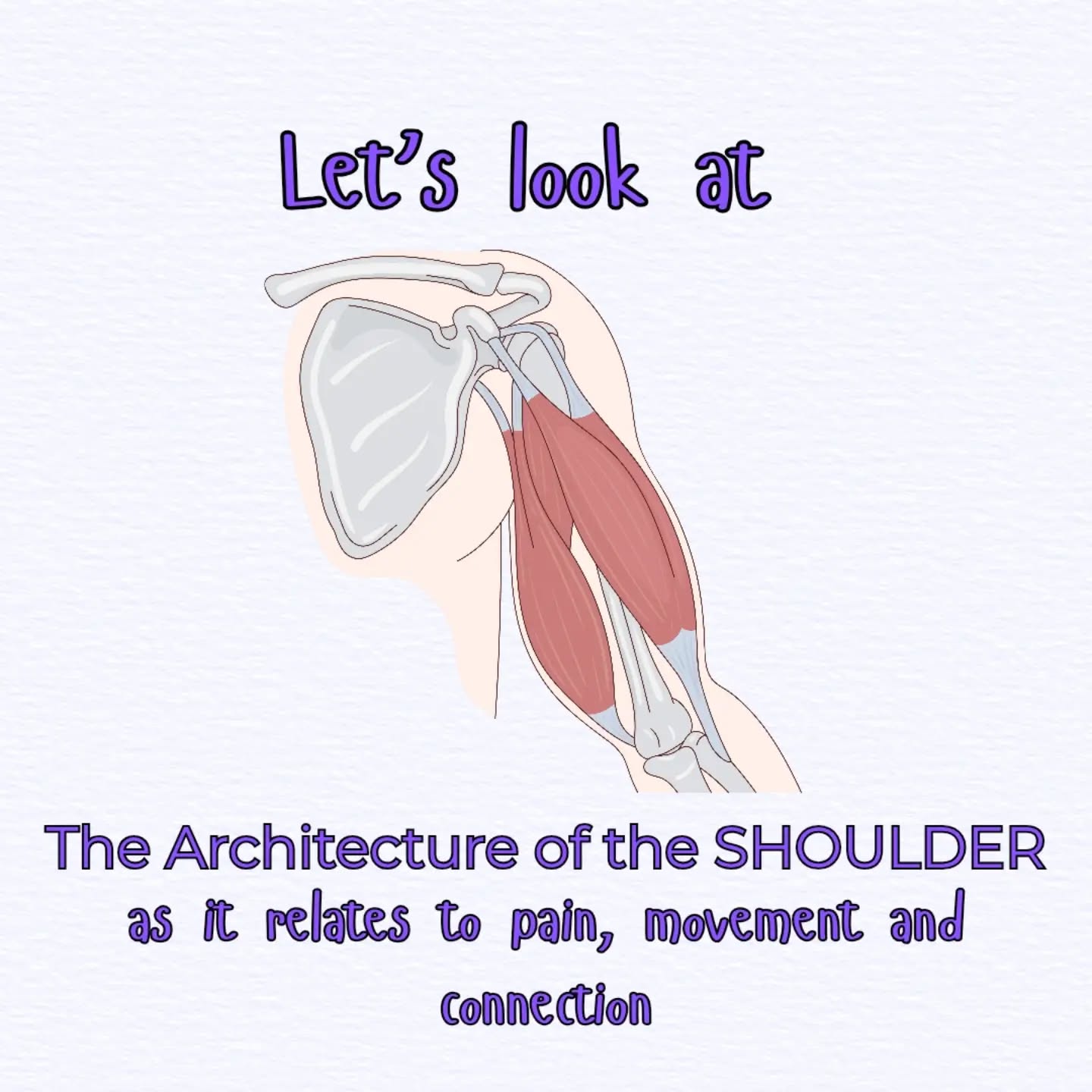 In the last few weeks, the anatomy club has been deep in the shoulder structure and motion study. This compilation is a snippet of the amazing structure of our shoulder.
The joint allows ample mobility and stability through its surrounding structures.
Read through this and see how these connections offer a wide range of motion.
#shouldermobility #shoulderstrength #chaturangadandasana #dandasana #yogatherapy #AnatomyClub #anatomy #movementeducation #womenshealthandwellness #womenshealthuk #londonyoga #physioyoga