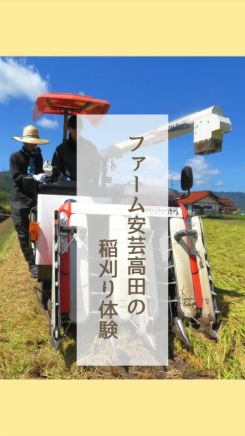 こんにちは!ファーム安芸高田です🌾
先日お米の受託栽培をご契約いただいてる企業様が、稲刈り体験に来てくださいました!
まずは作業場にて、収穫したお米が出荷されるまでを見学&体験していただきました!
その後田んぼで稲の手刈り、稲刈り機で一緒に収穫!☺️
体験後は、弊社グループが運営する古民家の宿にて、皆さんでBBQを楽しんでいただきました🍖
天気も良く残暑厳しい中、ご参加ありがとうございました☀
#農業体験 #農業好きな人と繋がりたい #新米 #広島農業 #農業法人の挑戦