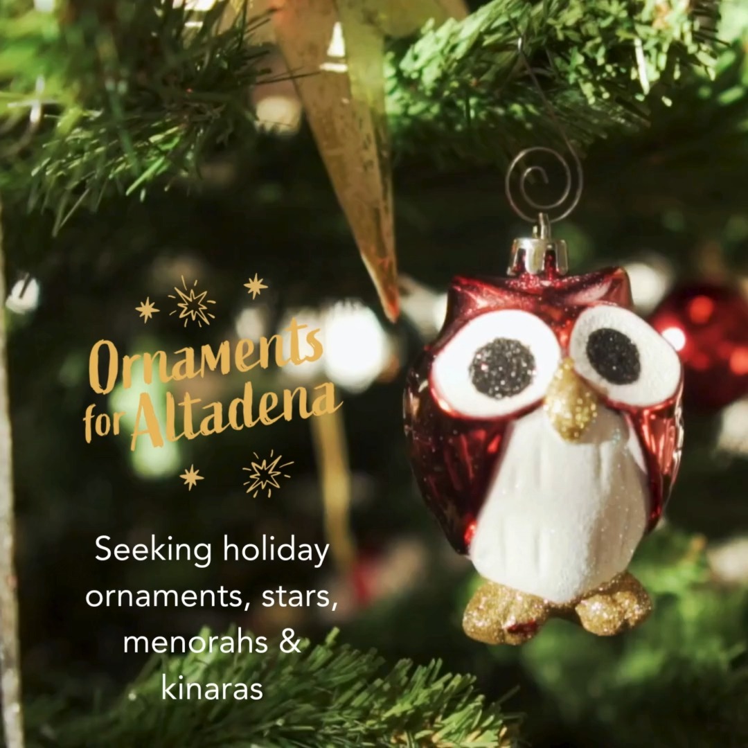 Comfort & connection ... @ornamentsforaltadena is a group of fire survivors working to bring a little light to this difficult season, and Winter Bloom Market & Gathering is a proud partner.
What's it all about?
๐ฒ Ornaments, stars, menorahs & kinaras - vintage, meaningful, handcrafted, or uniquely beautiful - are now being collected.
โ At Winter Bloom, neighbors may choose a special item (or more!) to adorn their home.
Get informed & get involved today! Or let share your story here if you've already contributed!
#winterbloomaltadena #ornamentsforaltadena #altadena #altadenastrong #denastrong #artmarket #holidaymarket #makersmarket