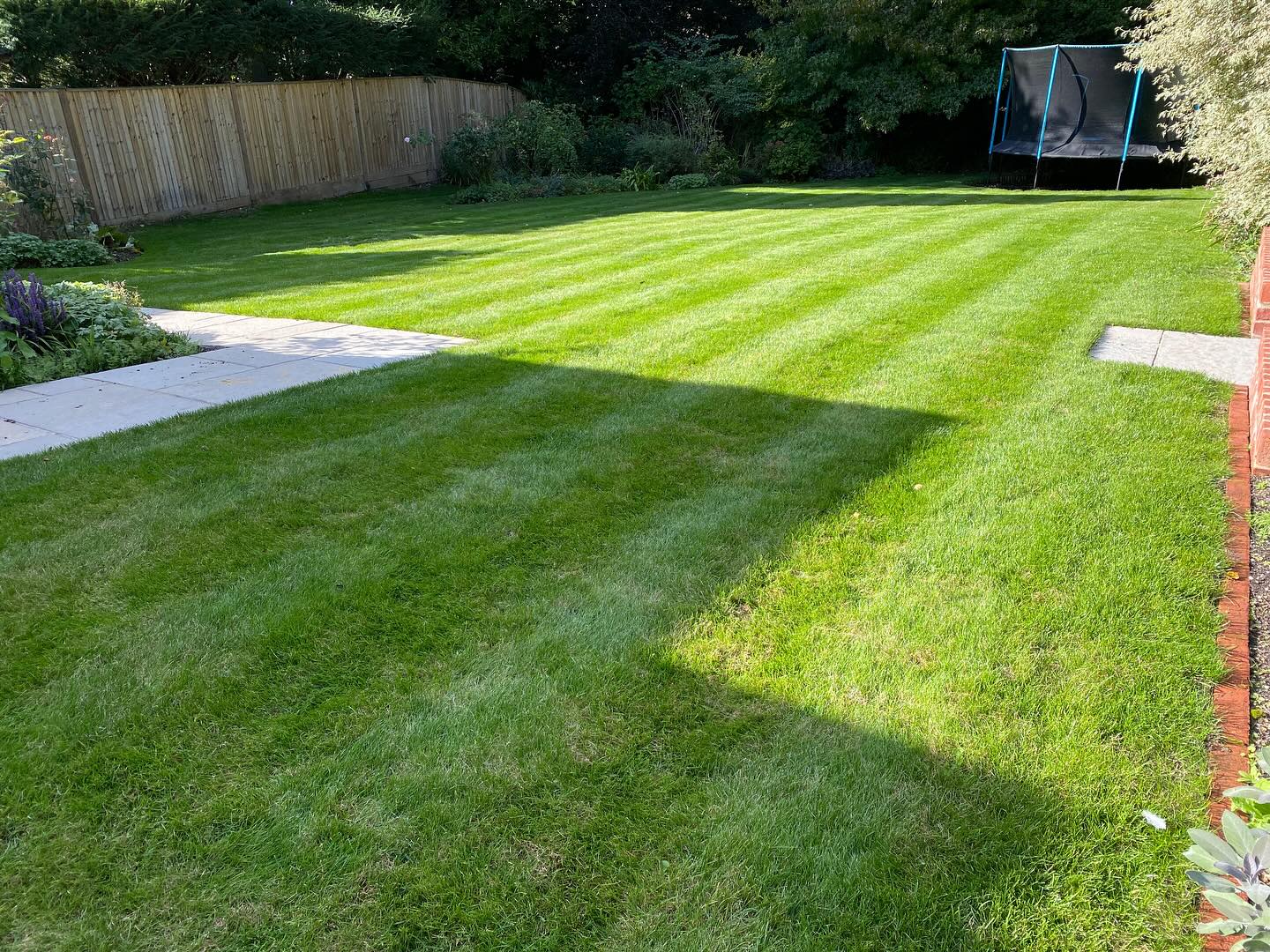 Another happy customer with our Lawncare service! The results speak for themselves here as careful seasonal treatments combined with a client taking on our mowing advice has allowed this garden to weather the drought and hose pipe ban and yet still remain green and vibrant with no damage!! #happyclient #professionallawncare #lawncare #merlinlawncare #hampshire #winchesterbusiness