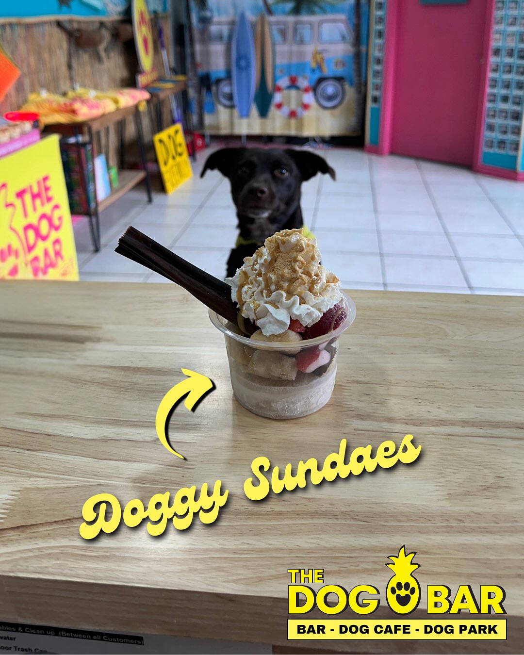 Discover The Dog Bar in Houston, Texas! This dog-friendly spot offers PupTails and Doggy Sundaes for your furry friend, plus cold drinks for you. Reserve their party space for birthdays or Gotcha Day celebrations!#thedogbar #thedogbarhtx #houstondoglovers #houstondog #dogfriendly #petfriendly #houstonpets #montrose #doglovers #dogstore #petstore #dogbar #dogcafe #houston #houstonthingstodo #dogpark