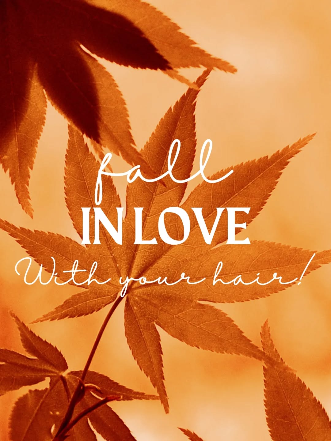 Happy fall! ๐๐๐๐ปโ
See what we did there ๐
Get your hair fall ready, contact us with any questions.
.
.
.
.
.
#summerhousesalon #southbayhair #southbayhairsalon #redondobeachhaircolorist #redondobeqchhairsalon