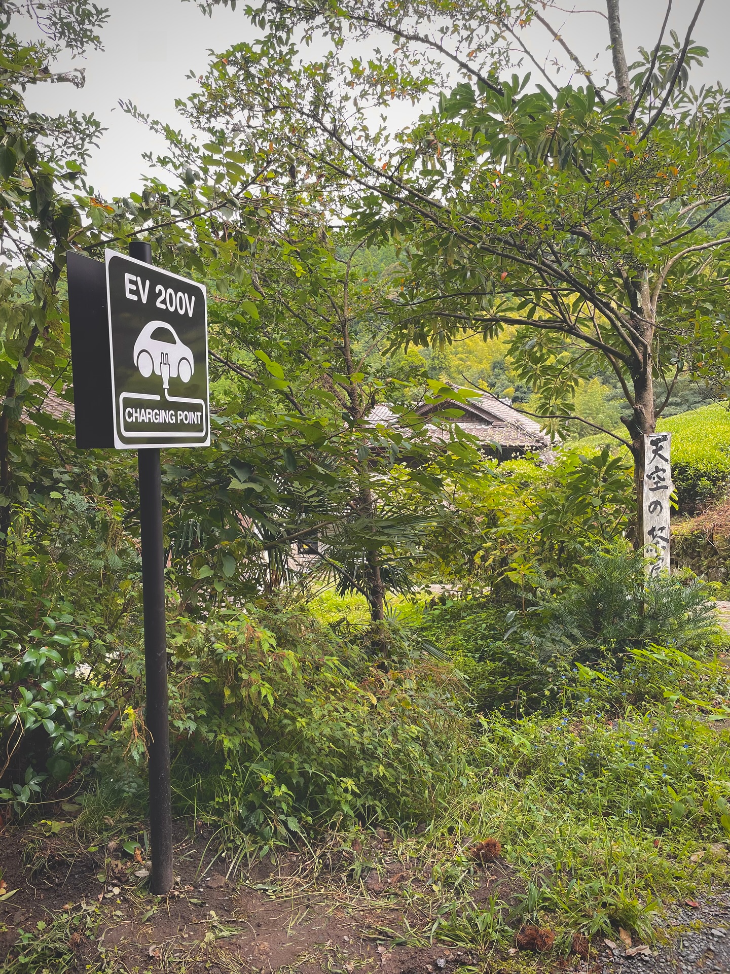 EV導入しました.
EV charging is available now in front of Sky Tea House.