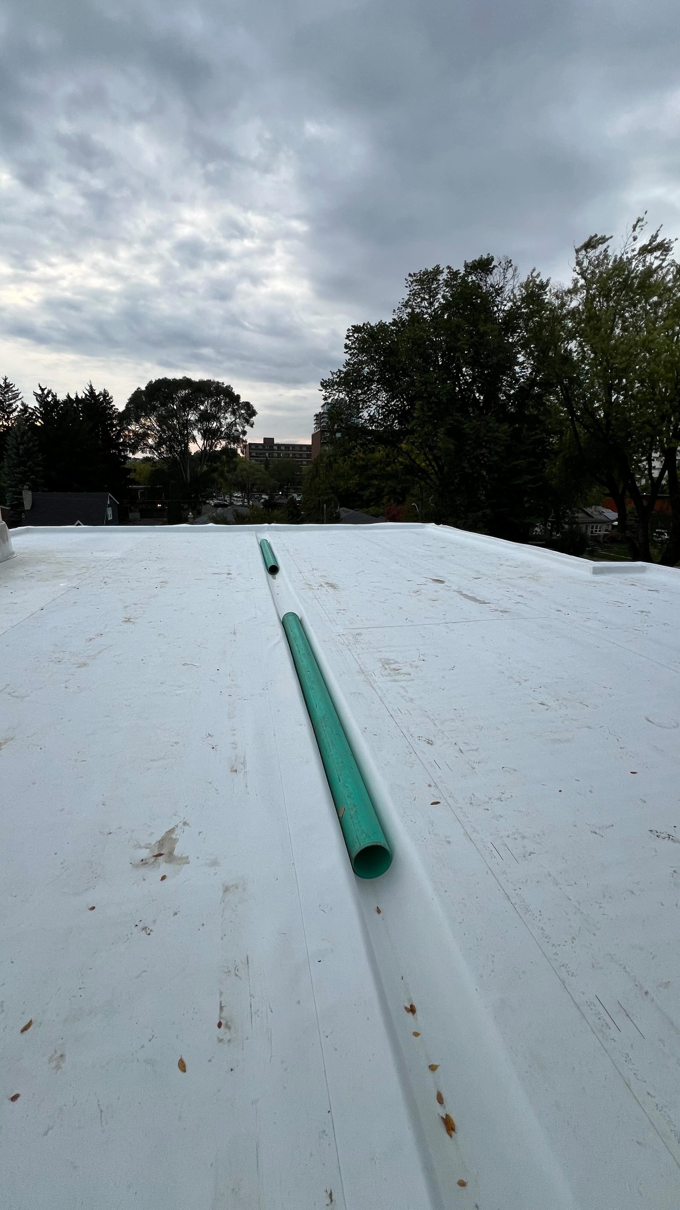 Commercial & Flat Roofing services.
Axtanto Roofing across Ontario, Canadá 🇨🇦
www.axtantoroofing.com
☎️ (905) 341-4790
#tporoofing #flatroof #flatroofing #axtantoroofing #commercialroofing #industrialroofing