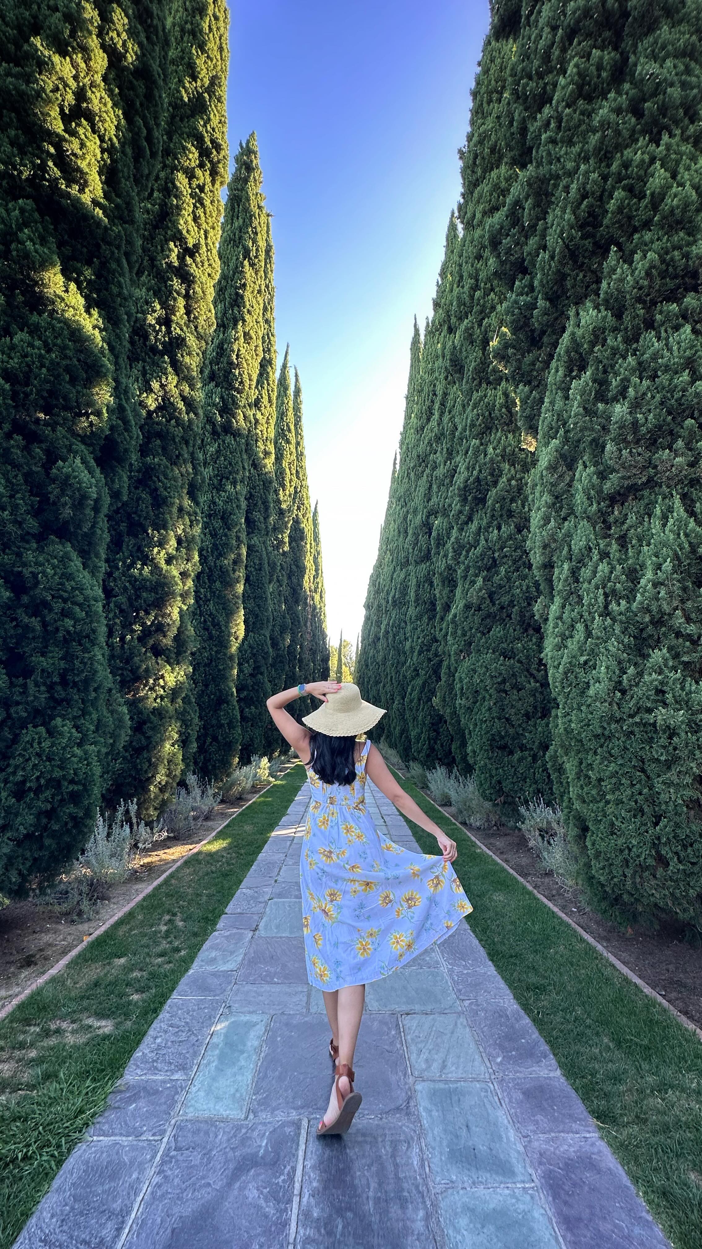 Come away with me, summer… 💫