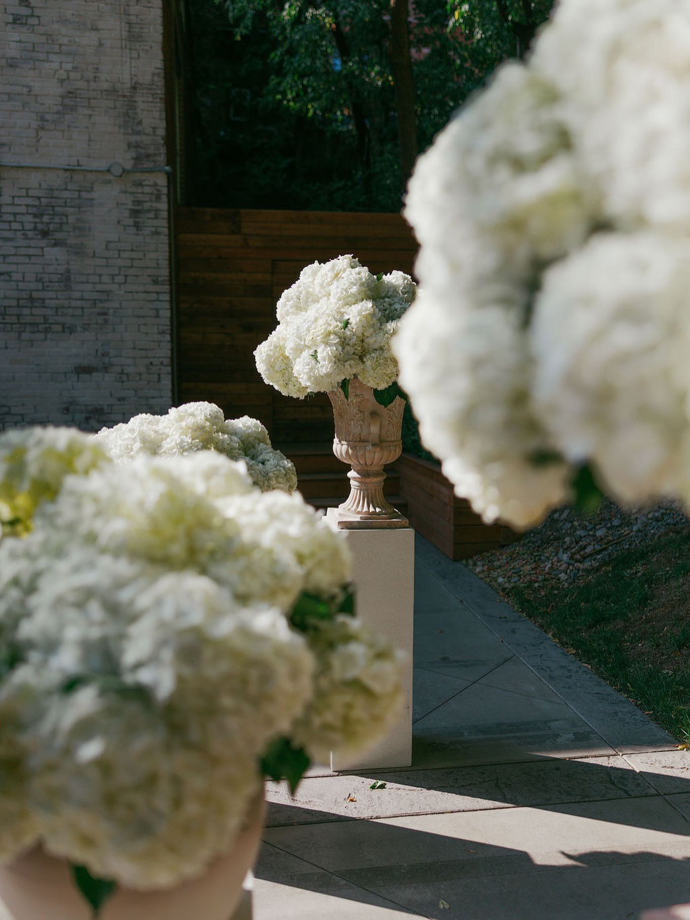 Hydrangeas, a timeless ceremony decor 🤍
Organisation et design : @erikaco.events
Lieu : @atwaterclubvenue
Photographe : @catherinedeslauriers.photo
Traiteur : @societetraiteur
Fleurs : @oxide_design_floral
DJ : @michaelouismusic
Location : @celebrationsgroup