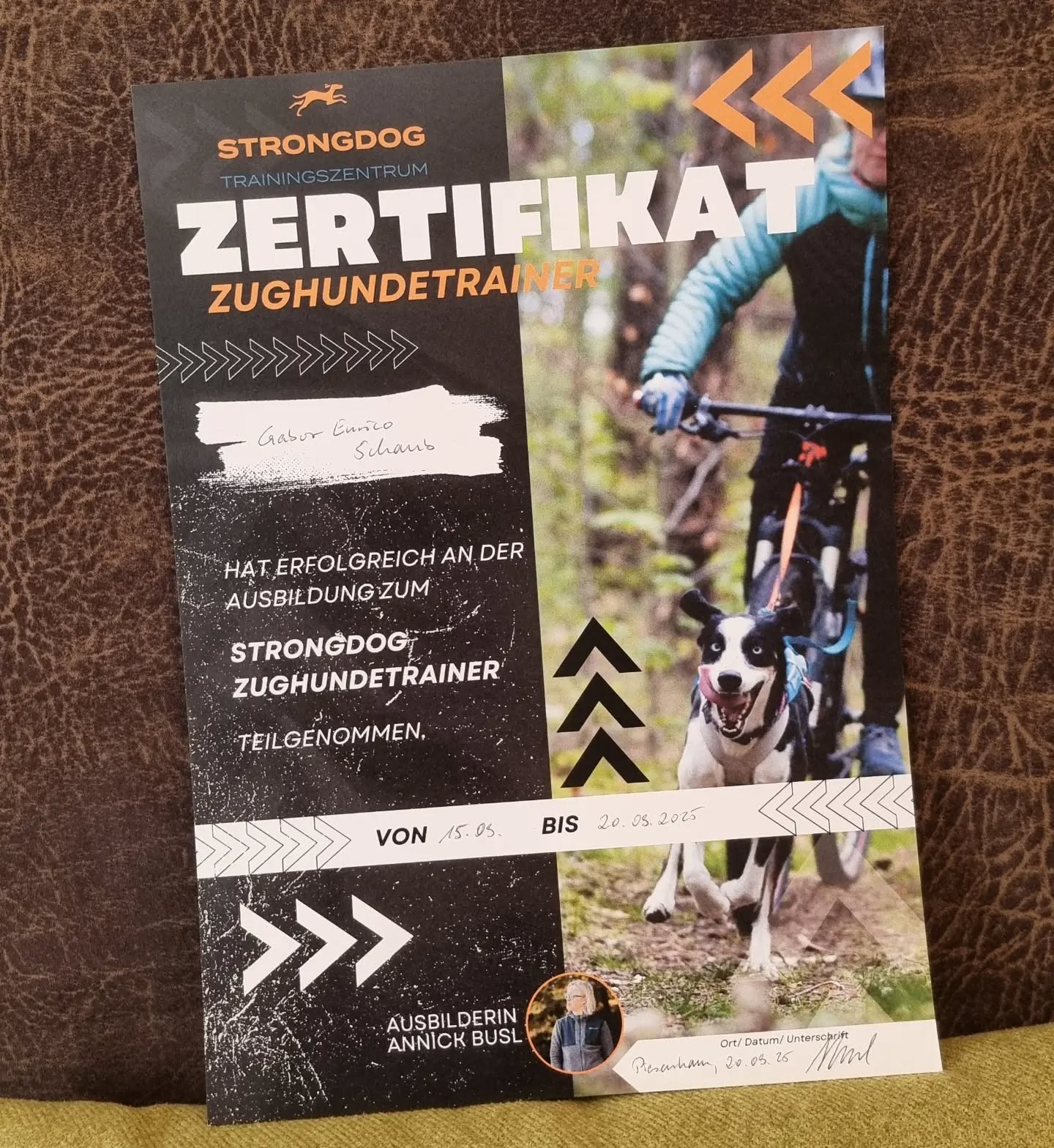 Wir haben es geschafft! 🥳🍾🚀🐺
Es waren fünf unglaublich intensive Praxistage mit echten Emotionen, viel Wissen und ich habe wahnsinnig viel über meinen Husky, Blue und mich selbst gelernt.
Ich möchte mich bei Annick (@strongdog.training) und Joana (@streberpfoten) bedanken. Ihr seid ein grossartiges Ausbildnerinnen-Team und habt mich auch als Mensch wachsen lassen.
Auch meinen (nun Ex-) Mitauszubildenden @gabsymessner, @idaklar_hundetraining und @kampdogs_hundetraining bin ich sehr dankbar für die tolle Zeit und dass ich (ob sie wollten oder nicht😉) auch von ihnen lernen konnte.
Die Welt ist nun also um vier zertifizierte Zughundetrainer:innen reicher 🤩🥳🚀💯
#zughundetrainerausbildung #zughundetrainer #strongdog #husky #dog #hund #sport