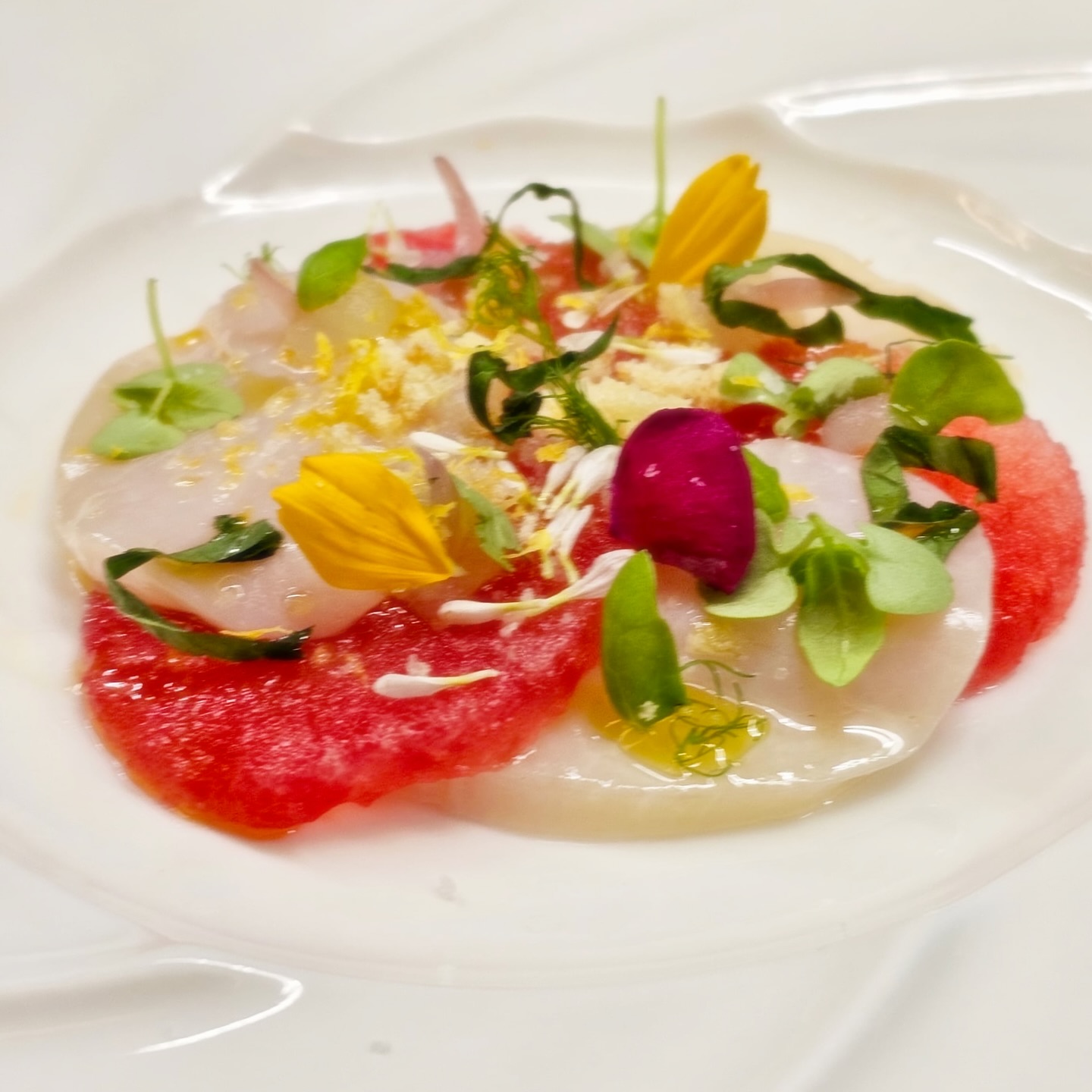 Tuscan monocultivar olive oil drizzled over hokkaido scallop ceviche and compressed watermelon. Salt, lemon zest, herbs. Simplicity.