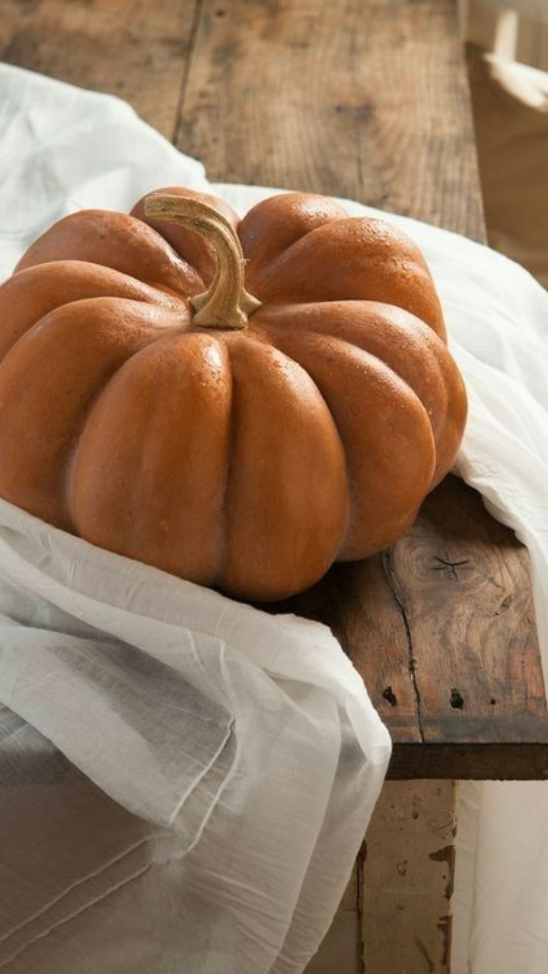 The leaves fall, the wind rises, and nature slowly turns inward.
It’s not just the trees, you are changing too. 🍂
According to Ayurveda, fall is Vata season: light, cold, dry, and fast.
This can bring restlessness, insomnia, anxiety, and dryness.
But there is a way to restore balance:
✨ Warm, nourishing meals
✨ Oil massages (Abhyanga)
✨ Gentle movement & stillness
✨ A rhythm that supports you
This season asks you to slow down.
To nurture your inner fire.
To listen.
What is your body asking for right now?
📩 DM us or click the link in bio to learn more about how the Ojas Method supports you through the seasons.
#AyurvedaFall #VataSeason #OjasSanctuary #LucianaFerraz #SeasonalWellness #HolisticLiving #AyurvedaWisdom