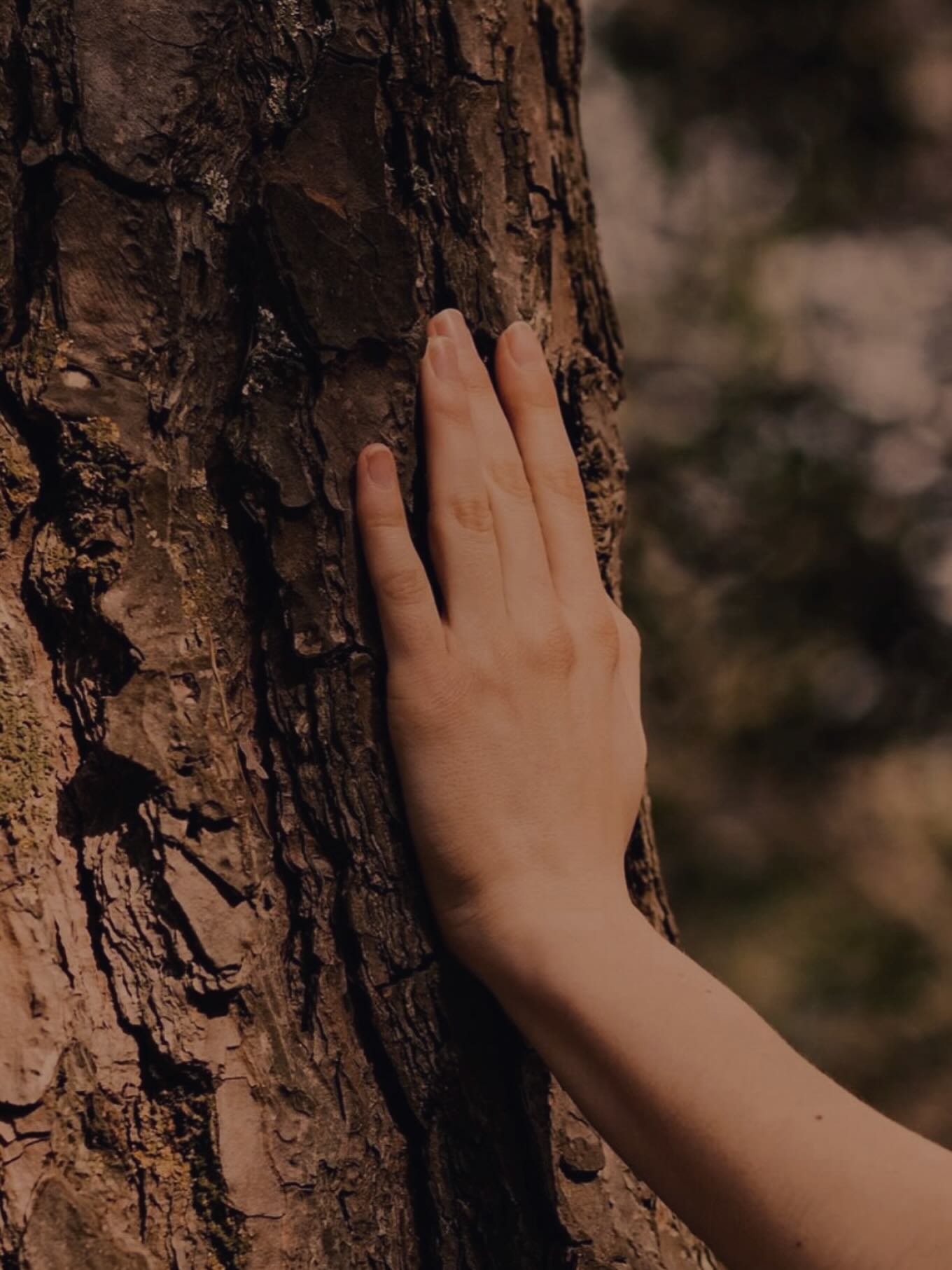 We set out this spring dreaming of lock-up by fall… instead, we’ve been gifted a stubborn hole in the ground and a crash course in patience.
Machines failed, rock resisted, timelines unraveled. What I thought would be straightforward has become a lesson in surrender and trust.
This winter may look more like a hole than a home, but the foundation being laid runs deeper than concrete. A reminder—that good things take time.