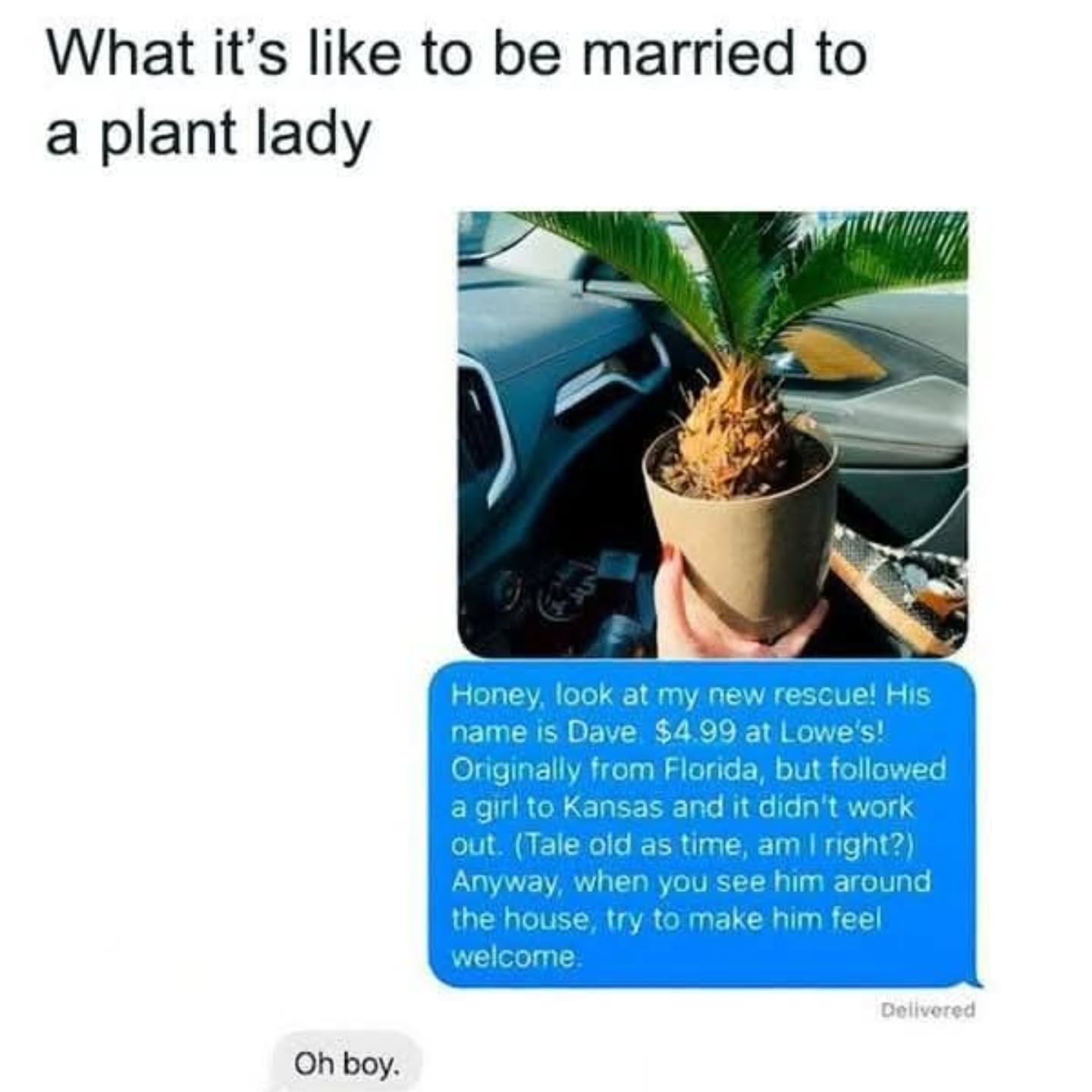 When you marry a plant lady, you’re not just gaining a spouse—you’re gaining a whole foster program. 🌱😂 Meet Dave, a $4.99 rescue who apparently has a backstory more dramatic than a soap opera. From Florida ➡️ Kansas ➡️ now our living room. Please address him by name and make him feel welcome. 💚
#PlantLadyLife #PlantRescue #IndoorJungle #MeetDave #HouseplantAddict #PlantMom #PlantParents #PlantHumor #HouseplantRescue #GreenThumbLife #PlantStories #CrazyPlantLady #PlantObsessed #HomeIsWhereThePlantsAre #BotanicalDrama #PlantsOverPeople #HouseplantTherapy #PlantAddictProblems #PlantLove #PlantPeople #PlantGang
#repost