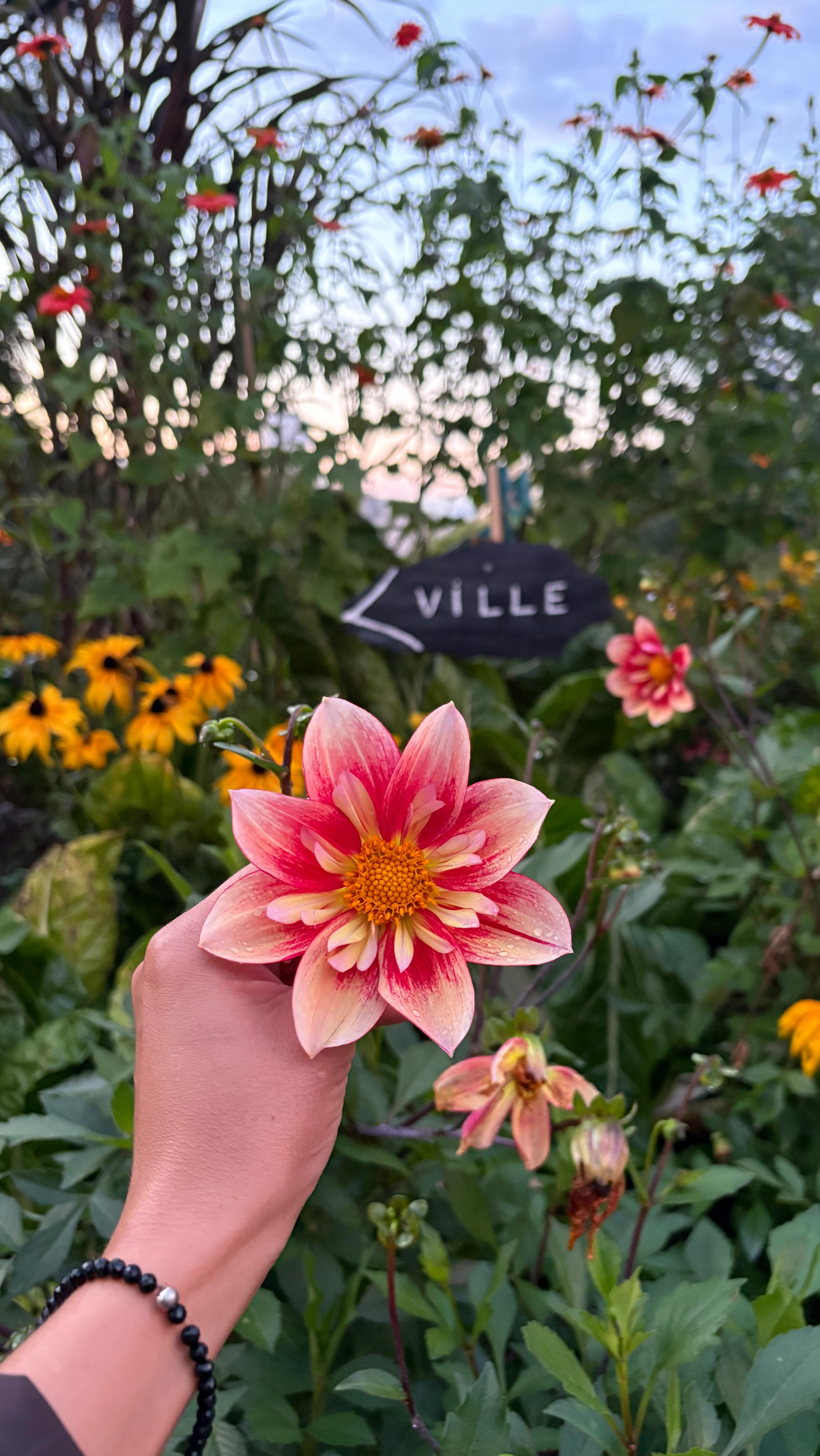 🦋
.
.
.
#selbstheilung #systemischeaufstellung #thetahealing #paris#selbstheilungskräfte #manifestation