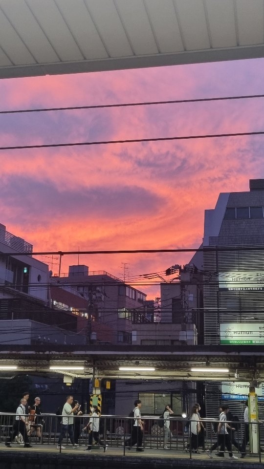 Ces auteurs qui ont façonné le genre SFFF
* Horace Walpole - Le Château d’Otrante (1764)
Souvent cité comme le premier roman gothique, Le Château d'Otrante mélange plusieurs éléments qui deviendront centraux dans le SFFF comme la présence d'éléments surnaturels.
* Mary Shelley - Frankenstein (1818)
L'histoire pose les bases de la science-fiction, en mariant science et imaginaire.
* Edgar Allan Poe - La Chute de la maison Usher (1839)
Le premier conte horrifique moderne a influencé le SFFF en donnant une approche plus psychologique du fantastique, où le surnaturel est ambigu et davantage lié à la psychologie des personnages qu'à des phénomènes extérieurs.
* J. R. R. Tolkien - Le Seigneur des Anneaux (1954-1955)
Tolkien a posé les bases de la High Fantasy Moderne. Le Seigneur des Anneaux est (et restera) un monument du genre, qui inspire de nombreux auteurs à travers le monde.
* William Gibson - Neuromancien (1984)
Ce roman est souvent considéré comme LE manifeste du cyberpunk, en mélangeant science, dystopie et univers futuriste. Il introduit également des notions importantes du genre, comme le cyberspace.
Mots-clés : littérature de l'imaginaire - SFFF - auteurs classiques - romans - Fantasy
Hashtags: #litteraturedelimaginaire #roman #littérature #auteurs #sfff #Fantasy #fantastique #bookstagramfrance #bookstagram
Quid d'une partie 2 ?