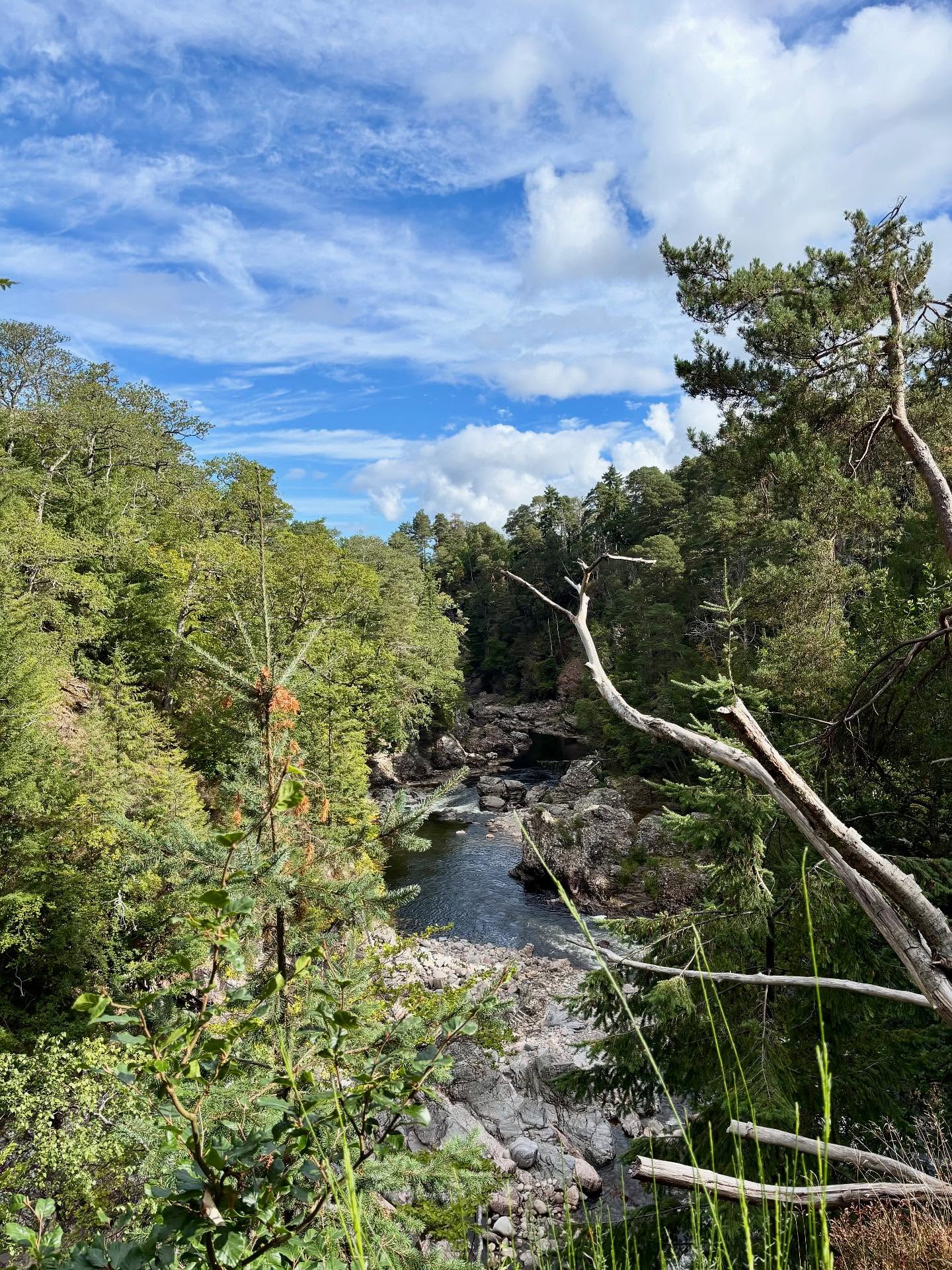 Exploring my ‘back garden’…
The beautiful River Findhorn offers epic gorges, crystal clear water, plunge pools and waterfalls. Don’t forget to stop at @logiesteading for delicious cake 🧁
The gorgeous ‘sea pool’ near Hopeman is one of my favourites at low tide for jumping, diving and swimming in the deep turquoise waters
Showing my Dad around Burghead and Lossiemouth beaches and their endless sandy sweeping bays… cake at the @cablecafe2024 in Burghead is not to be missed
#explorelocal #visitscotland #moray #beaches #sandbetweenmytoes #riverfindhorn #hiking #seapool #wildswimmingscotland #cake