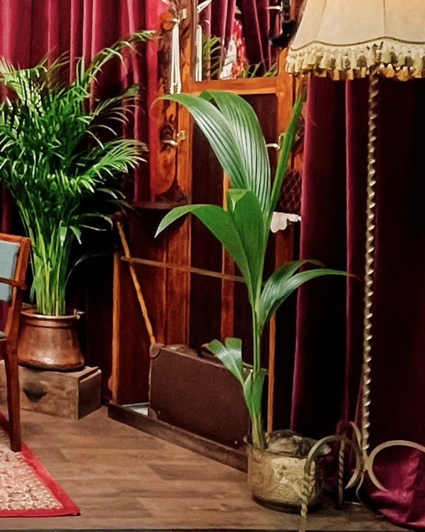 Alors que l’édition 2025 se prépare, retour sur le Salon de la Photo de Paris 2024 pour lequel Sony France nous a donné carte blanche dans la création d’une ambiance « Salon de jeux des années 20-30 ».
#decordestand #sony #sonyfrance #salondelaphoto2024 #decoration #sourcing #scenographie
#eventdesign #eventpros #eventdecor #privateevent #luxuryevents #luxurywedding #evenementiel #decorationvintage #decorsvintage #locationdecoration #locationvintage #locationdecorationvintage #locationmobilier #locationmobiliervintage #locationvaissellevintage #locationevenement #vintagerentals #weddingrentals #eventrentals #vintagedecoration #ecoresponsable #decorationecoresponsable #lescenographe