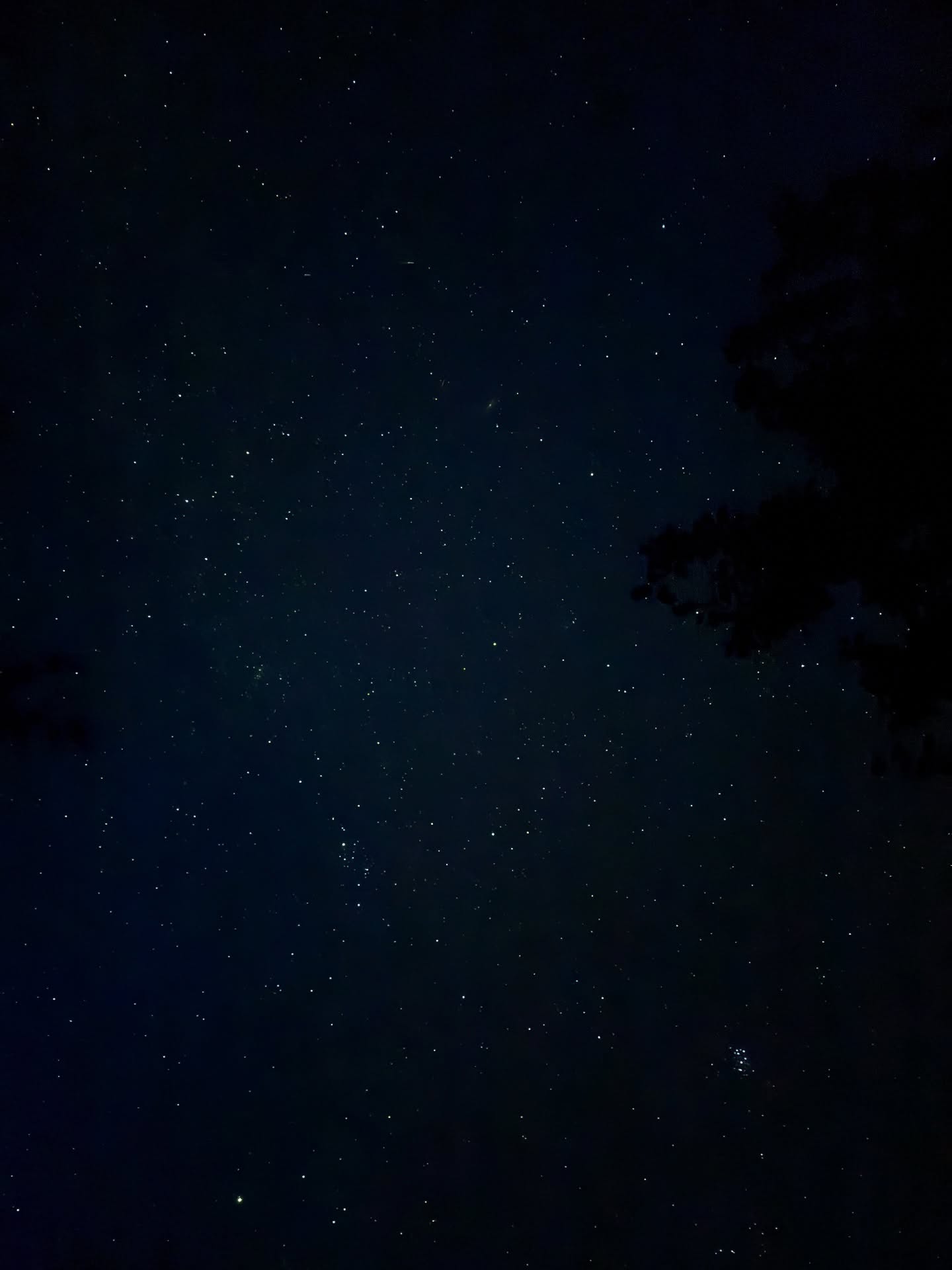 🌑 Les pieds sur terre, la tête dans les étoiles 🌑
Sous le ciel constellé, le silence devient souffle.
Le corps s’ancre, le cœur s’ouvre, l’esprit s’élève.
Entre terre et cosmos, il existe un espace subtil —
celui où la matière se fait prière,
où le toucher devient langage d’âme.
✨ Ici, tout commence par une respiration.
Une onde, un geste, un murmure d’étoile.
C’est dans cette présence que la guérison s’enracine.
🌿 Ajä Alaya est ce lien entre le céleste et le terrestre —
un pont de lumière où l’on revient à soi,
tout en se souvenant que nous sommes faits du même souffle que les étoiles.
💫 Mantra :
« J’ancre ma lumière dans la terre,
et j’élève mes racines vers le ciel. »
#AjäAlaya #RacinesEtÉtoiles #SacredBodywork #MassageRituel #ConnexionTerreCiel #SoinEtLumière #ÉnergieEnMouvement
——————————————————————————————
🌑 Feet on the Earth, Head in the Stars 🌑
Beneath the starlit sky, silence turns into breath.
The body grounds, the heart opens, the spirit rises.
Between Earth and cosmos lies a subtle space —
where matter becomes prayer,
and touch speaks the language of the soul.
✨ Here, everything begins with a breath.
A wave, a gesture, a whisper of starlight.
It is within this presence that healing takes root.
🌿 Ajä Alaya is this bridge between the celestial and the earthly —
a pathway of light guiding us back to ourselves,
reminding us that we are made of the same breath as the stars.
💫 Mantra:
“I root my light into the Earth,
and raise my roots to the sky.”
#AjäAlaya #RootsAndStars #SacredBodywork #RitualMassage #EarthAndSkyConnection #HealingLight #EnergyInMotion