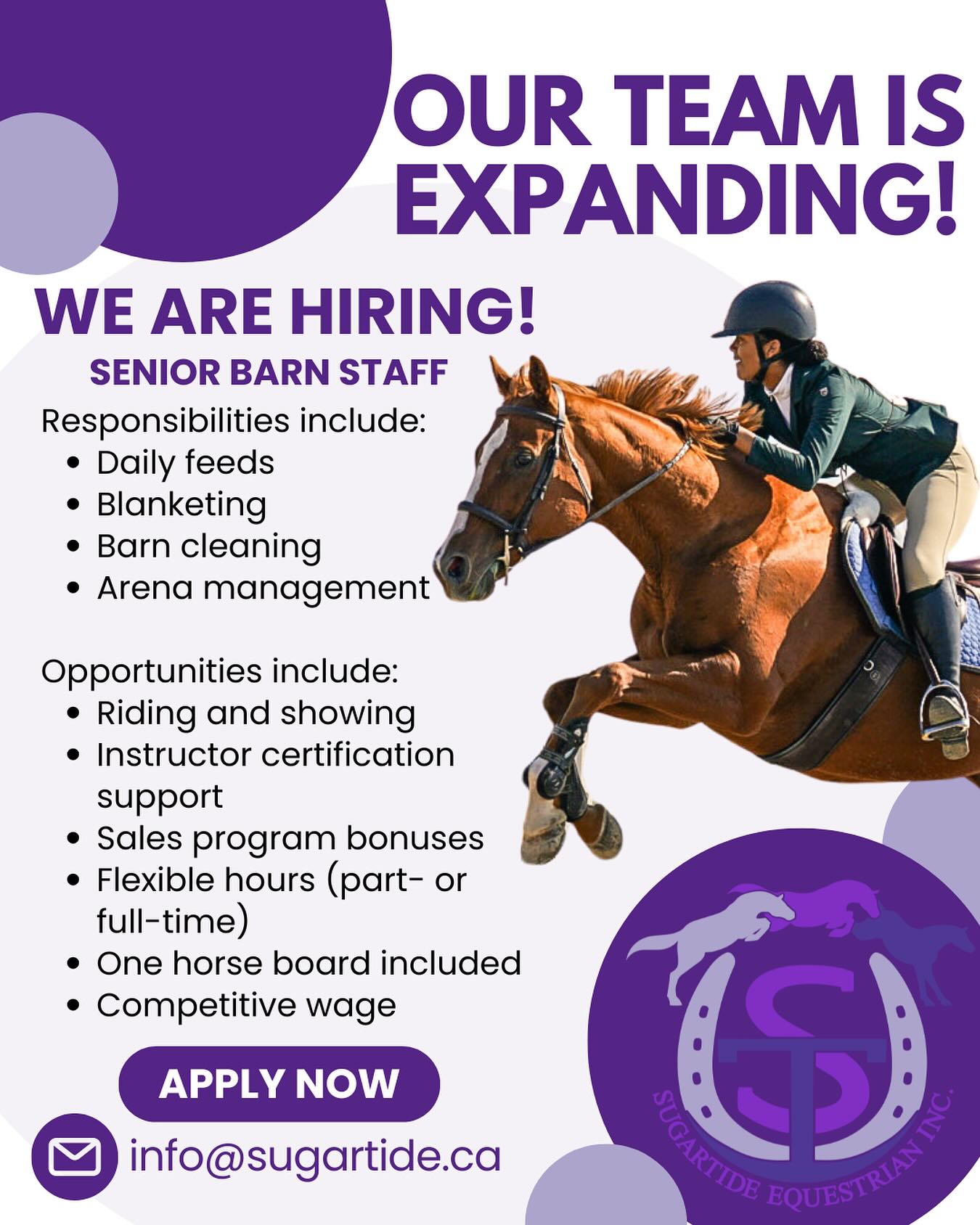 OUR POSITION IS FILLED! THANK YOU FOR ALL THE INTEREST 💜
Our team is growing.
SugarTide Equestrian is hiring a Senior Barn Staff member to join our program!
Responsibilities include:
• Daily feeds
• Blanketing
• Barn cleaning
• Arena management
Opportunities include:
• Riding and showing
• Instructor certification support
• Sales program bonuses
• Flexible hours (part- or full-time)
• One horse board included
• Competitive wage
If you’re passionate about horses and looking to grow in a supportive and professional barn environment, we’d love to hear from you.
Apply now by sending your CV to info@sugartide.ca