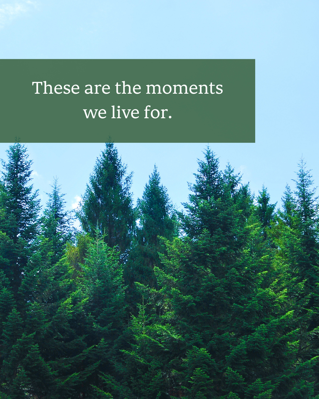 It’s not just about where you stay—it’s how you feel while you’re here.
At Yarmouth Country Cabins, the quiet moments tend to be the most magical ones.
Unplug, unwind, and make some memories before the season wraps in mid-October.
Now booking September getaways for families, homeschoolers, and small groups.
#CapeCodRetreat #QuietEscape #YarmouthCountryCabins #NatureGetaway #HomeschoolRetreat #FallOnCapeCod