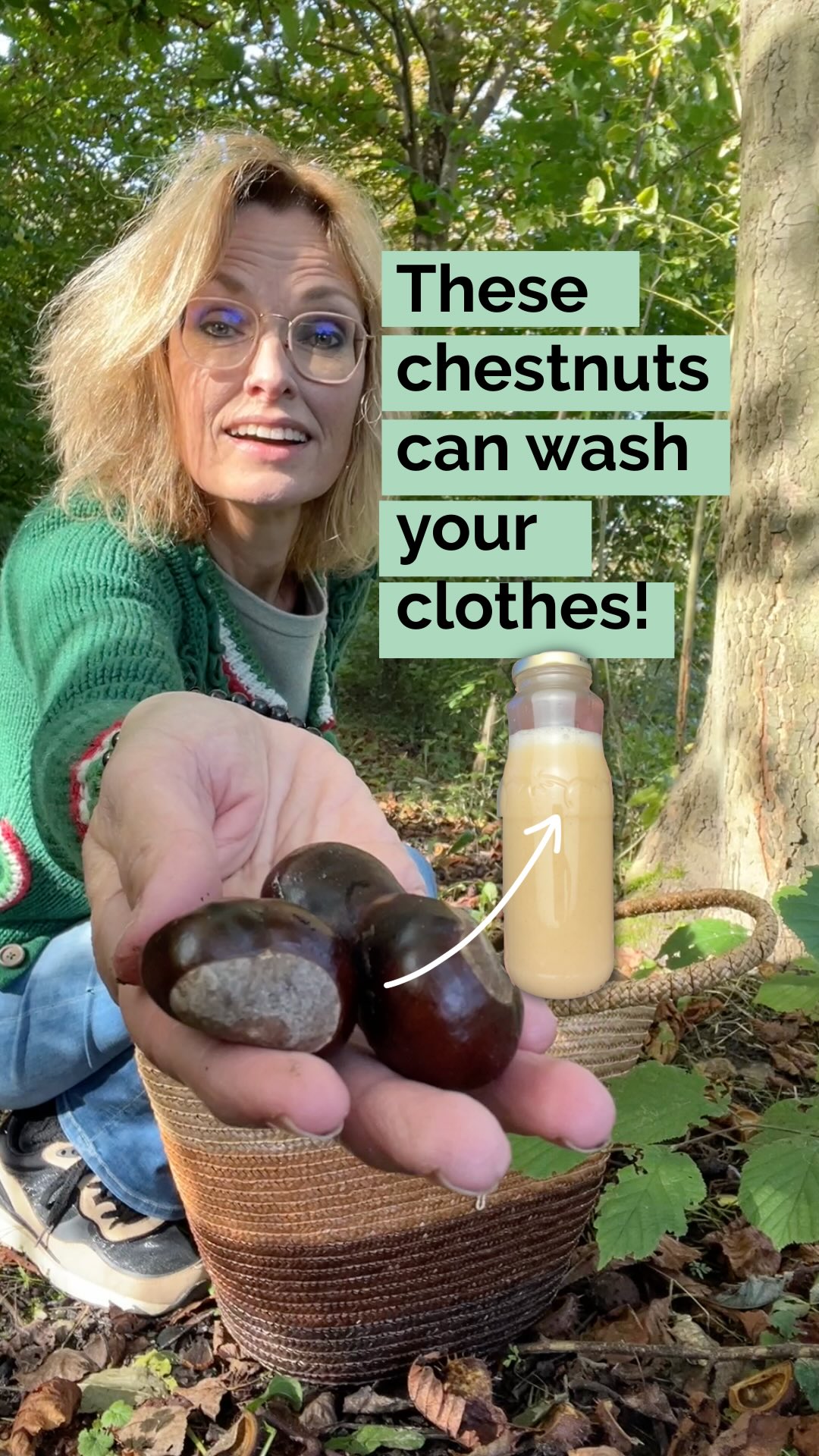 Next time you go shopping for washing detergentā¦.go to the forest. š
Thanks to the saponins in horse chestnuts, you can make your own all-natural washing detergent.
The natural compounds in horse chestnuts foam when mixed with water, making them perfect for an eco-friendly detergent. šæš§ But there is more⦠Chestnuts also contain mild antibacterial properties, making them a great, gentle alternative for sensitive skin and delicate fabrics.
š° Recipe:
⢠Soak the conkers in hot water to loosen their shell.
⢠Chop a small batch in 4 parts so it will be easier to remove the shell.
⢠Put the conkers in boiling water for 10 minutes
⢠Strain them into a jar
⢠Put the leftover soft chestnuts into a blender and add a little water
⢠Strain the mixture in your blender again and fill your jar or bottle
⢠Label with the date
This homemade detergent stays fresh for up to 2 weeks in the fridge, so make small batches to keep it effective! š§ŗāļø
Tip:
Freeze the remaining conkers for new badges. Try a little bit first, to see if you like this detergent and if you donāt have any allergies to this type of soap.
āļøDonāt mix these conkers up with sweet chestnuts. Those are edible (with a white tip) whereas conkers are not!
š Save this DIY if you want to make eco-friendly washing detergentāØš Follow @helloherbal.world for tips and DIYS for for natural health, non-toxic living and herbal remedies
#NaturalDetergent #horsechestnut #conkers #naturalwashingdetergent #allnaturalwashingdetergent #diywashingdetergent #EcoHacks #SustainableLiving #ZeroWaste #falltreasures #ecotips