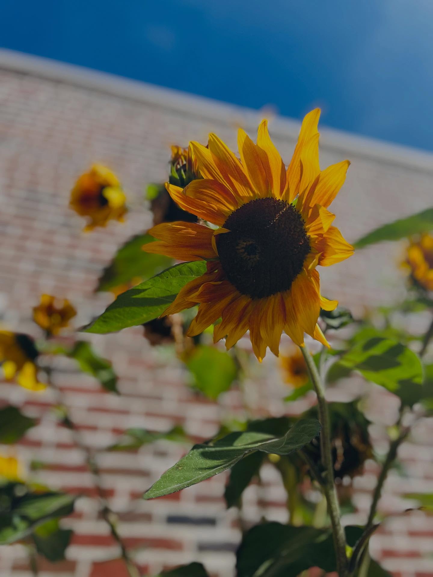 Everything all at once