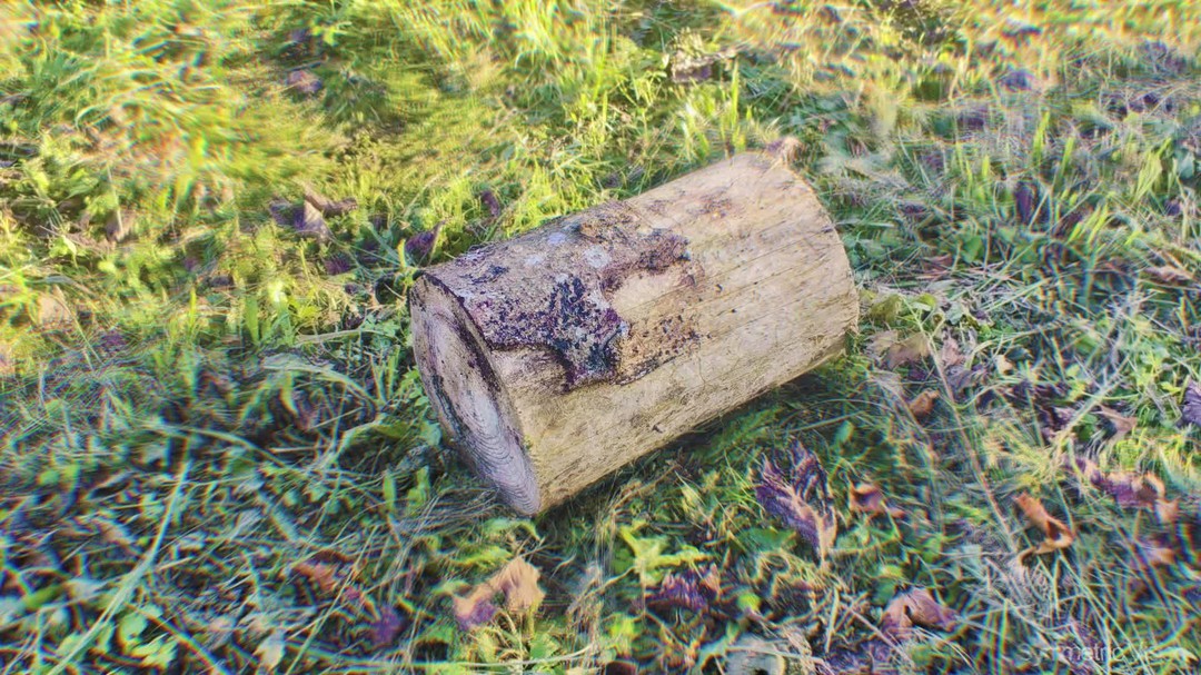 This log is doing some very weird things to my brain 👀