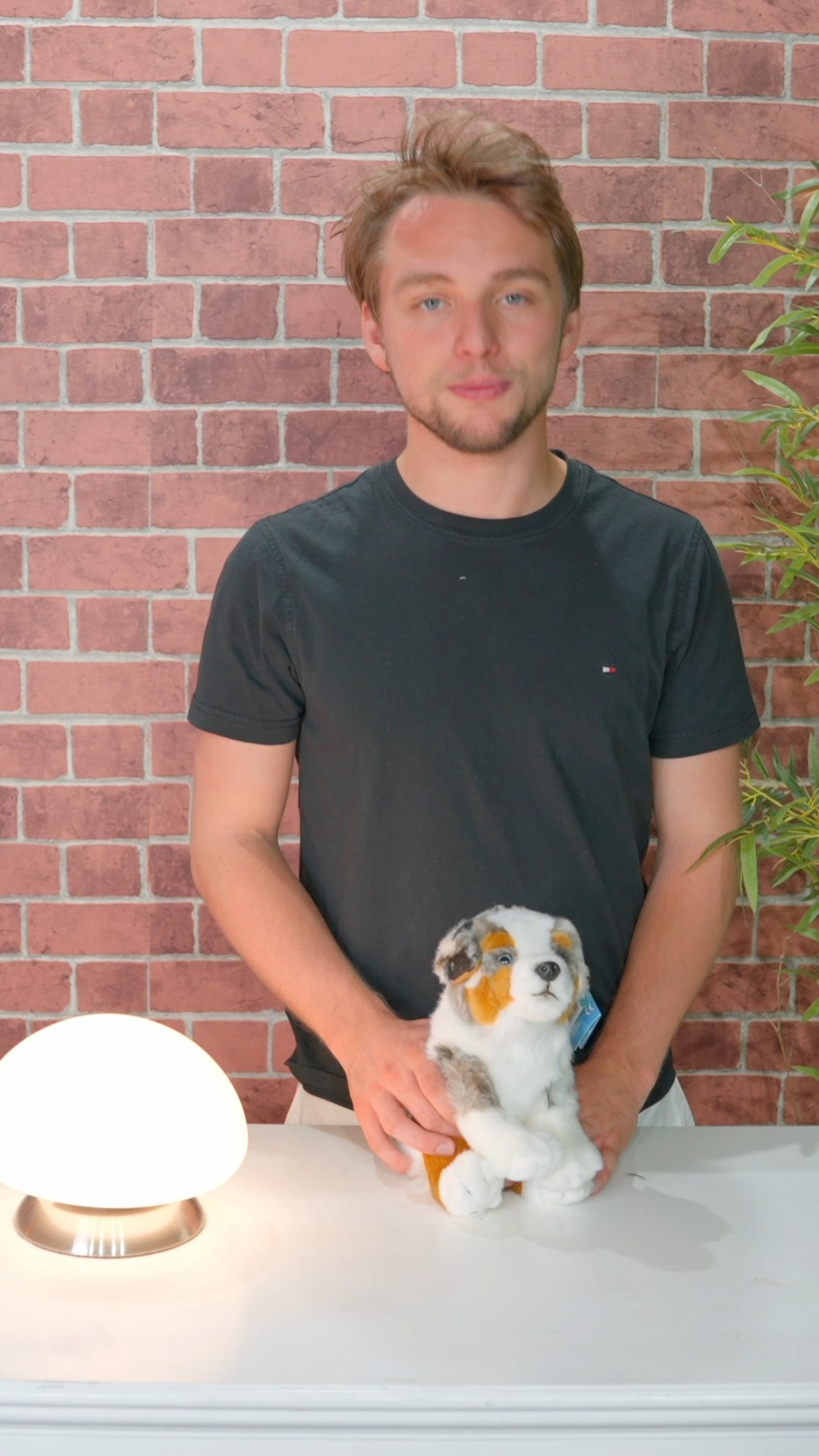 Douceur, tendresse et réconfort avec la peluche "Berger Australien" 🧸
Un compagnon idéal pour petits et grands, toujours prêt à partager vos moments. ✨
À câliner sans modération !
Notre site : lecomptoirdesauthentics.com
#peluche #doudou #cadeau #madeinfrance