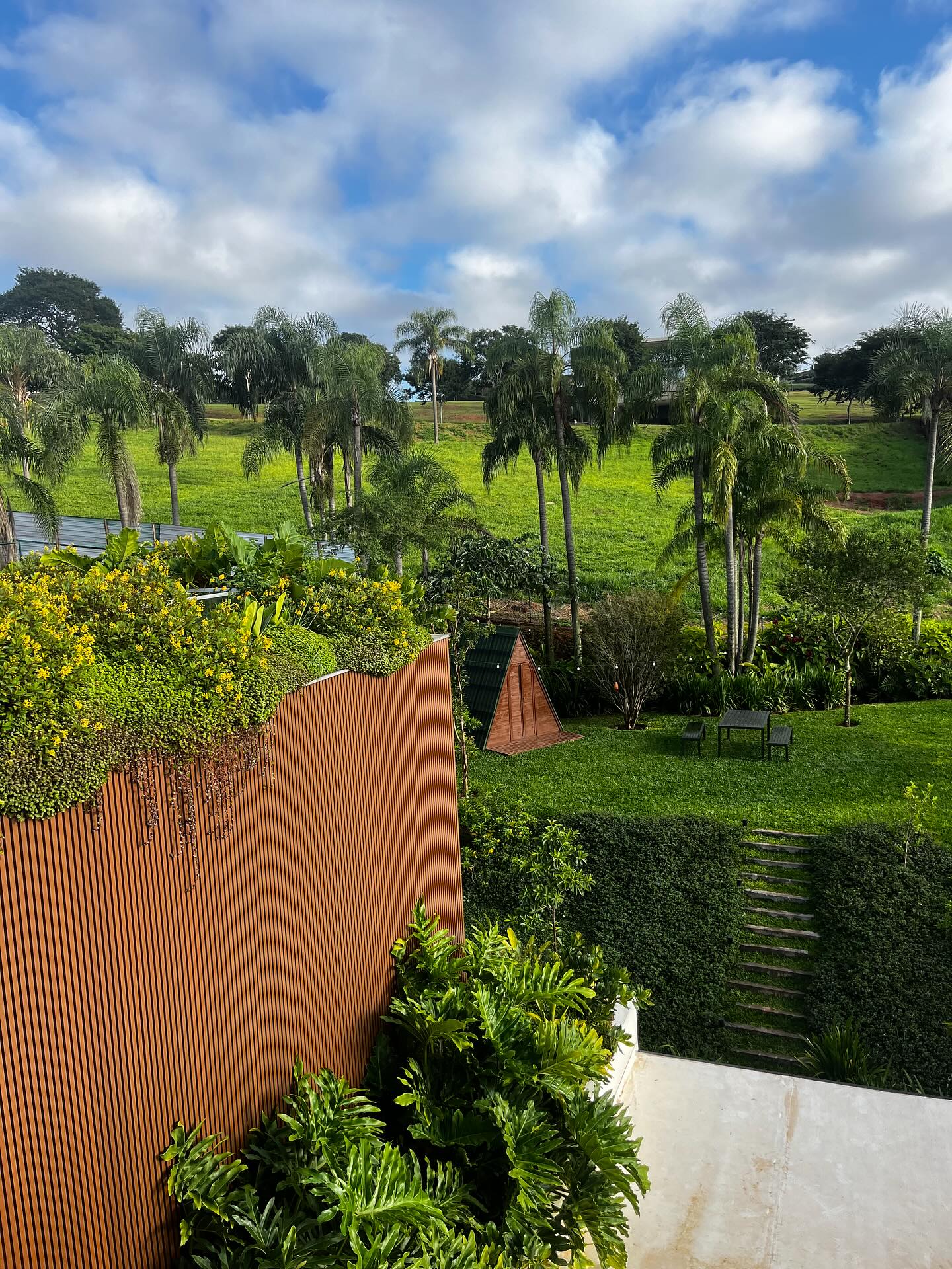 🇧🇷os canteiros desta casa foram feitos também considerando a privacidade em relação aos vizinhos, em pontos estratégicos, e a vista livre em alguns pontos (para ter a visão ampla da bela paisagem). Usamos muitas nativas, como a Norantea, Trialis, bromélia porto seguro, Orelha de Urso Branca e Guaimbé. Plantas de baixa manutenção e raízes não agressivas foram priorizadas para não danificar qualquer estrutura.
Arquitetura: @arkitito
Paisagismo: @oliviaulianopaisagismo
.
🇬🇧The flowerbeds in this house were also designed with privacy in mind, in strategic locations, and with unobstructed views in some areas (to provide a panoramic view of the beautiful landscape). We used many native plants, such as Norantea, Trialis, Porto Seguro bromeliad, White Bear’s Ear, and Guaimbé. Low-maintenance plants with non-aggressive roots were prioritized to avoid damaging any structure.
.
#paisagismo #paisagismoedecoração #paisagismoresidencial #plantasnativas #paisagismosustentável #paisagista #telhadoverde #soluçõesbaseadasnanatureza