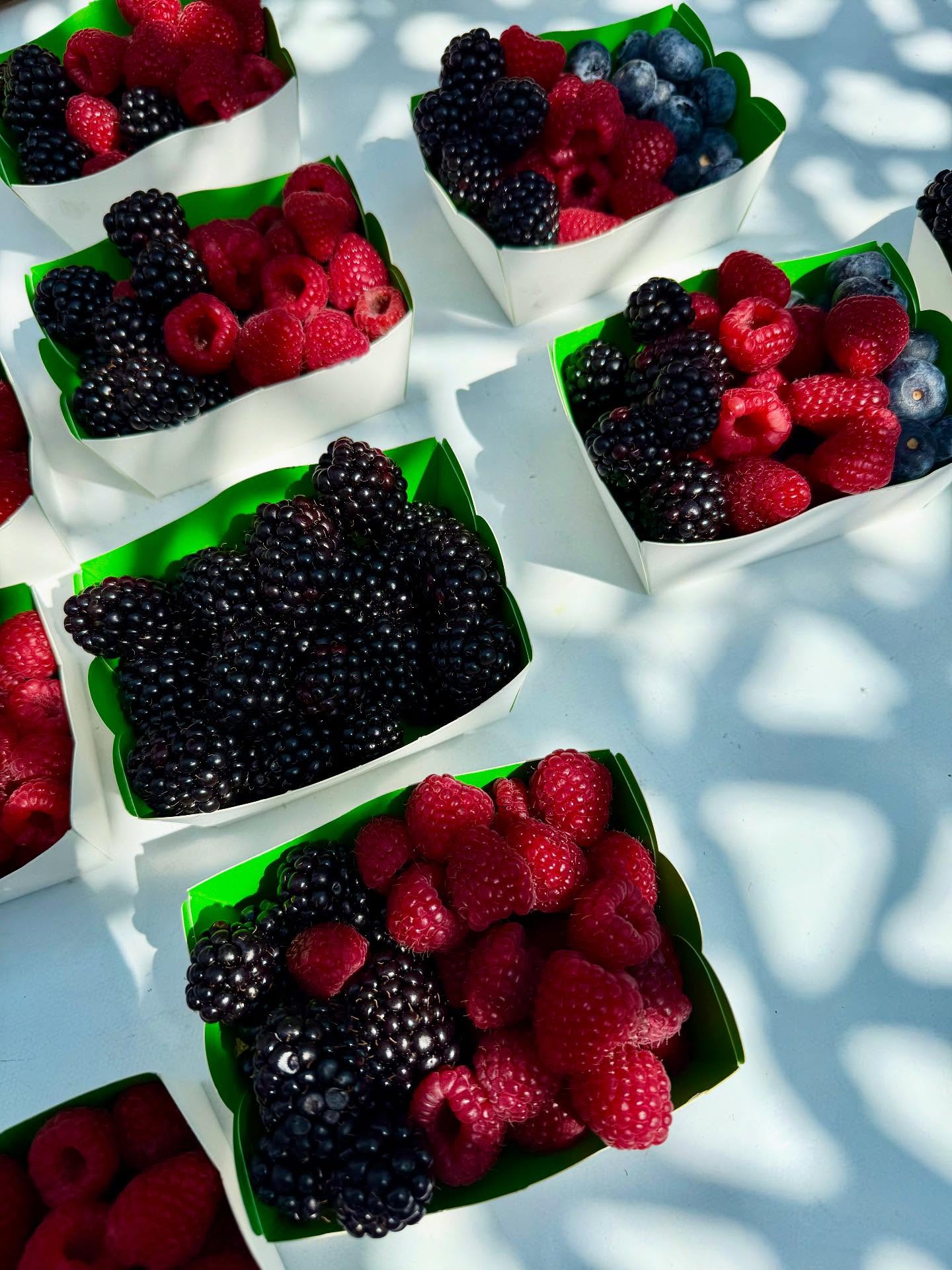 Market day #saleyamarket #nice #nicefrance #nicecotedazur #nicefrance🇫🇷❤️ #nicefranceriviera #frenchrivieralife #frenchriviera🇫🇷 #mediterranean #mediterranée #retireandtravel #retireandenjoylife #france🇫🇷 #visitnice #ilovenice❤️ #cotedazurfrance #niceislove #travelbloggers #travelblog #travelblogging @visitcotedazur