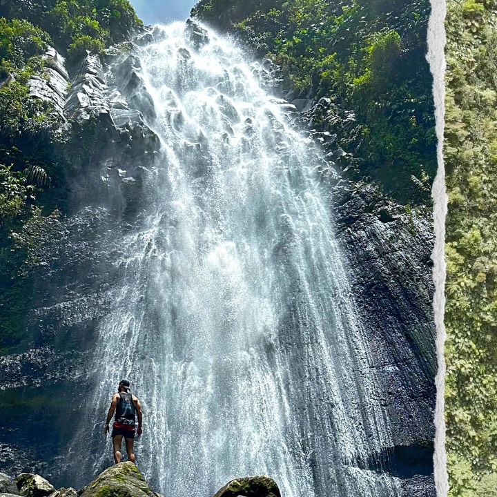 🚨 Randonnée réservée aux plus téméraires !
La Cascade Kong (Ravine Lasserre) est l’une des plus impressionnantes de Guadeloupe
Une aventure unique, mais extrêmement difficile :
⏱️ 7 à 10h de marche
🌊 Progression en rivière
💪 Effort intense mais récompensé par deux cascades majestueuses (la trace proposé ne va qu’à Kong)
Pour les passionnés prêts à repousser leurs limites, cette rando est une expérience inoubliable, mais pas sans danger.
📲 Retrouvez toutes les infos pratiques dans notre article en bio
#CascadeKong #RandonnéeGuadeloupe #RandoDifficile #GuadeloupeNature #HikingLife #HikingAdventure #WaterfallLovers #ExploreGuadeloupe #BasseTerre #Randonnons #NatureAddict #TropicalVibes
