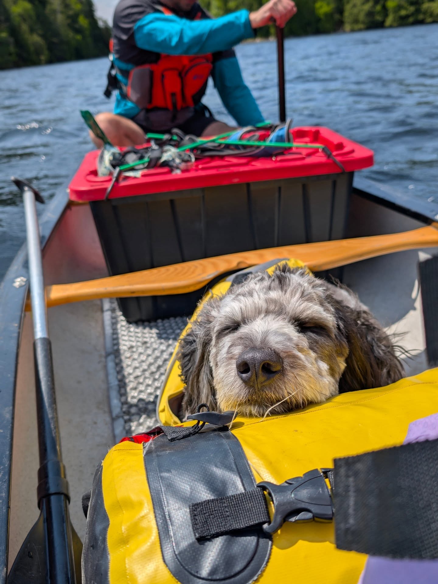 So long summer!! 🌞
This one felt full: camping trips, visits to childhood favorites, lots of time close to home in Ottawa, family weekends that went too fast, a few weddings that made my heart full, and a half marathon that nearly broke my legs but not my spirit.
Grateful for the people, the places, and the little pockets of quiet in between. Not for mosquitos though. Never the mosquitos...
Which season do you love more — summer or fall? 🍂
#summerdump #ottawalife #canadianoutdoors #campingvibes #familytime #summer2025 #hikingadventures #halfmarathontraining #weddingseason #getoutside