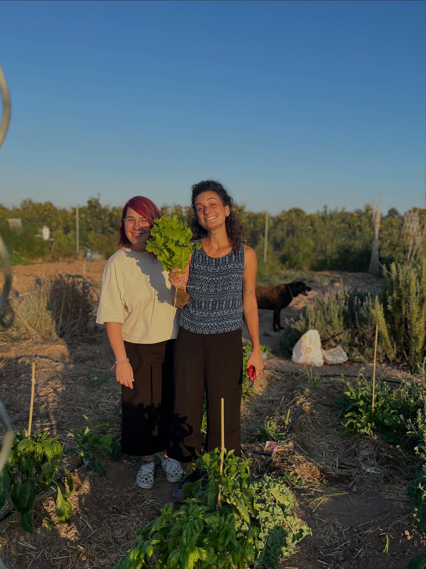 La primera cosecha. Las sonrisas lo dicen todo 💕. A por más 💪🏻