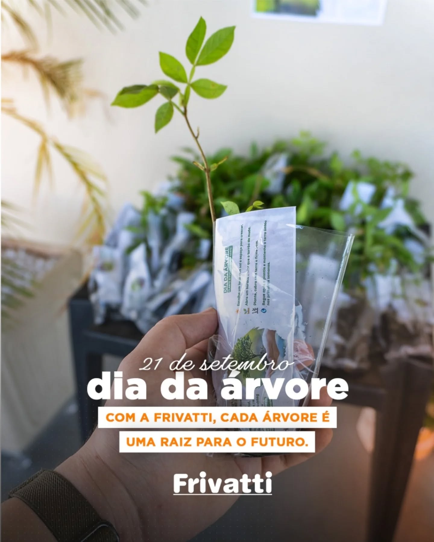 🌳 Dia da Árvore 🌳
Neste Dia da Árvore, a Frivatti reforça seu compromisso com a natureza e com o futuro.
Graças à doação de centenas de mudas de árvores da @itaipubinacional, os colaboradores de nossas unidades receberam uma árvore para levar para casa e plantar com suas famílias.
Essa campanha é mais do que um gesto simbólico: é um convite para cultivarmos juntos um amanhã mais verde e sustentável.
🌱
Compartilhe esse momento com a hashtag #FrivattiVerde e mostre como pequenas atitudes geram grandes transformações.
#FrivattiVerde #DiaDaÁrvore #Frivatti
#Sustentabilidade #MeioAmbiente
#Natureza #CuidandoDoFuturo
#PlanteUmaÁrvore #VerdeÉVida
#FuturoSustentável