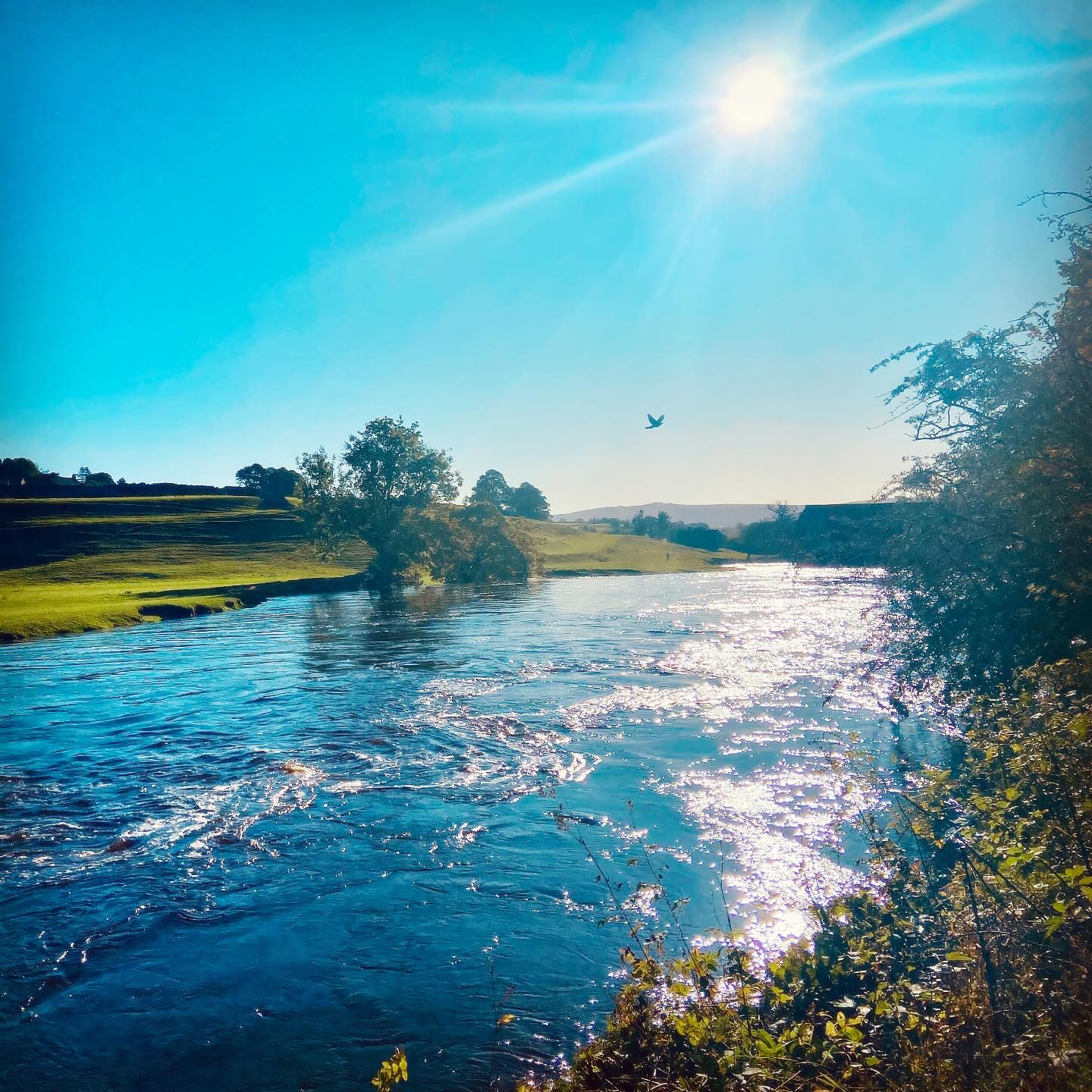 Cracking day in The Dales today, Grassington is looking beautiful 🌞
#madeinyorkshire #yorkshiredaleswalks