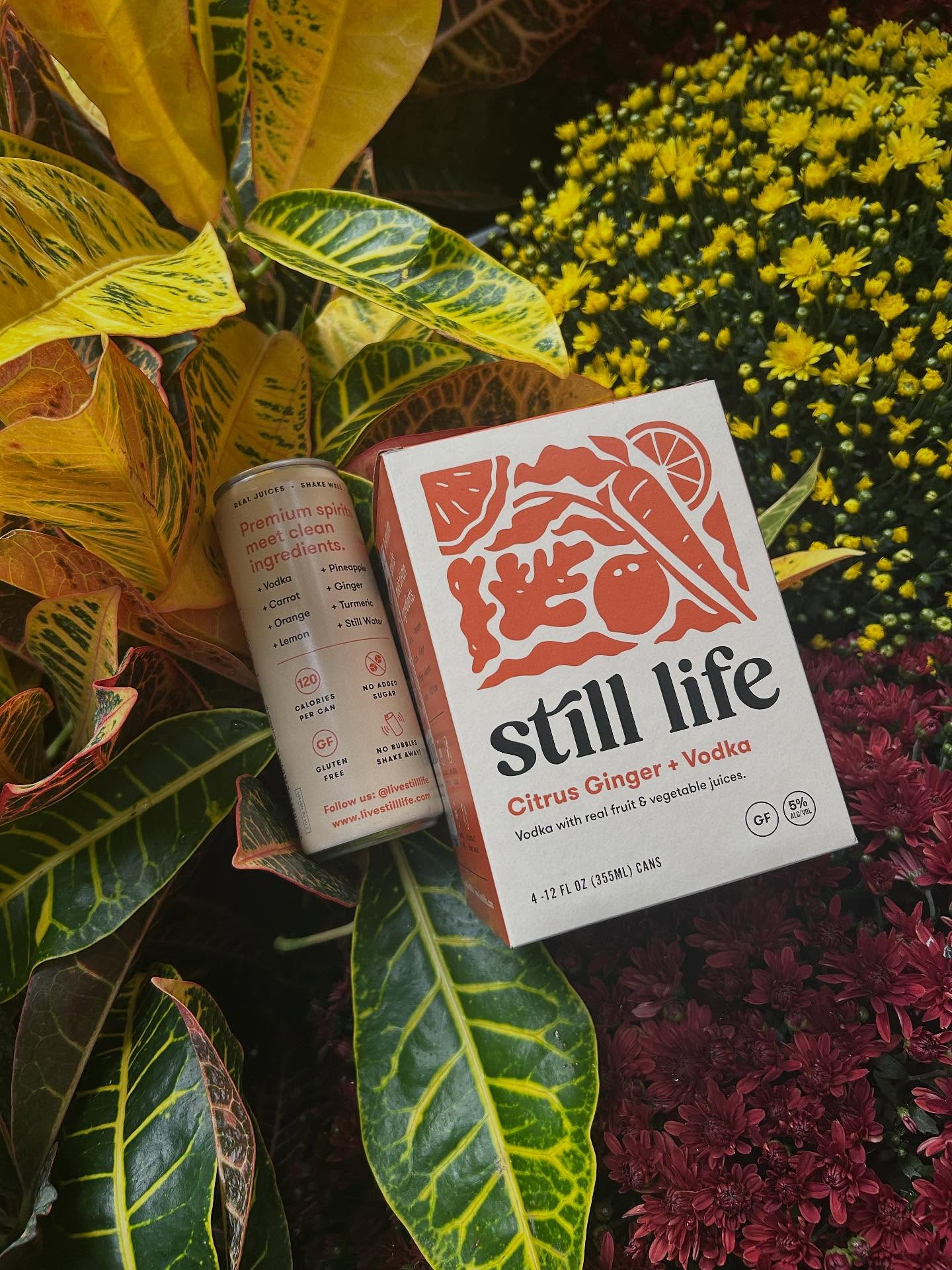 We heard it’s officially fall 🍁 perfect weather for our carrot citrus ginger cocktails 🥕🫚
#getjuicy #drinkbetter