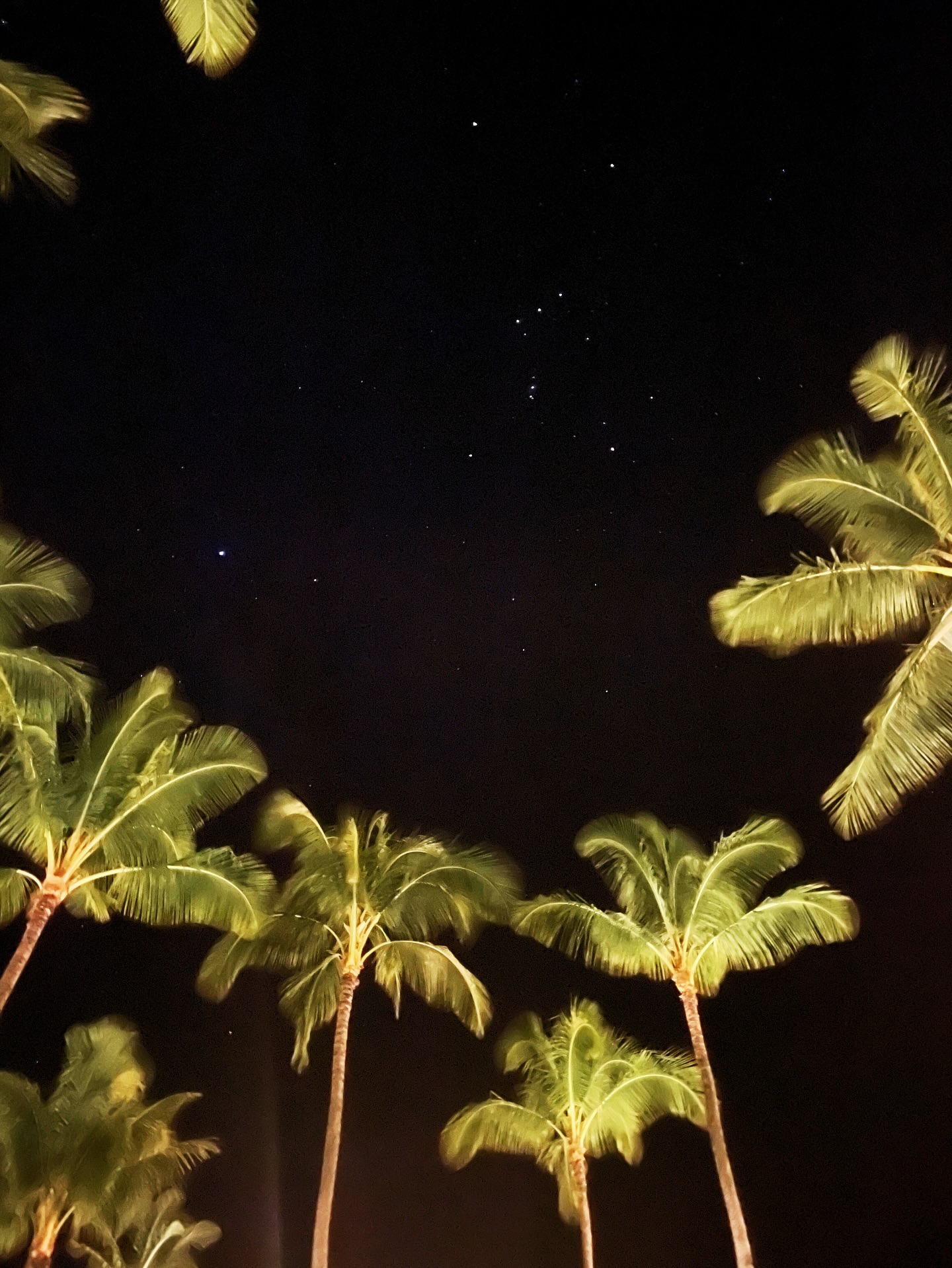 Beneath the stars, we remember our own vastness.
#InfiniteSoul #CosmicWisdom #StarryNightVibes #ConsciousJourney #SpiritualAwakening #PresencePractice #InnerLight #YouAreAJem #jem #jemormilo