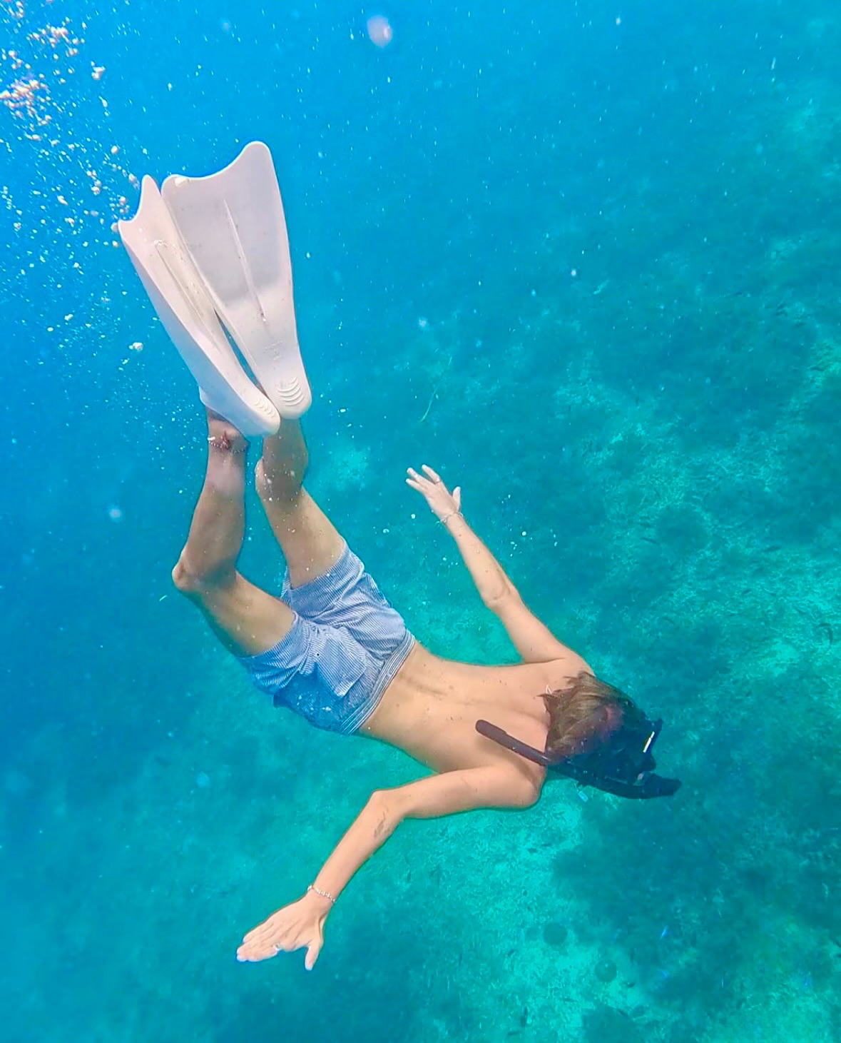 🇬🇧 Dive into crystal-clear waters and discover the magic beneath the surface! Snorkeling with us is the perfect way to explore Mondello & Capo Gallo from a new perspective 🌊🐠
👉 Book your experience now and make your summer unforgettable!
🇮🇹 Tuffati in acque cristalline e scopri la magia sotto la superficie! Lo snorkeling con noi è il modo perfetto per esplorare Mondello & Capo Gallo da una nuova prospettiva 🌊🐠
👉 Prenota subito la tua esperienza e rendi la tua estate indimenticabile!
#SicilyBlueDream #PalermoExperience #MondelloBeach #DiscoverSicily #VisitPalermo