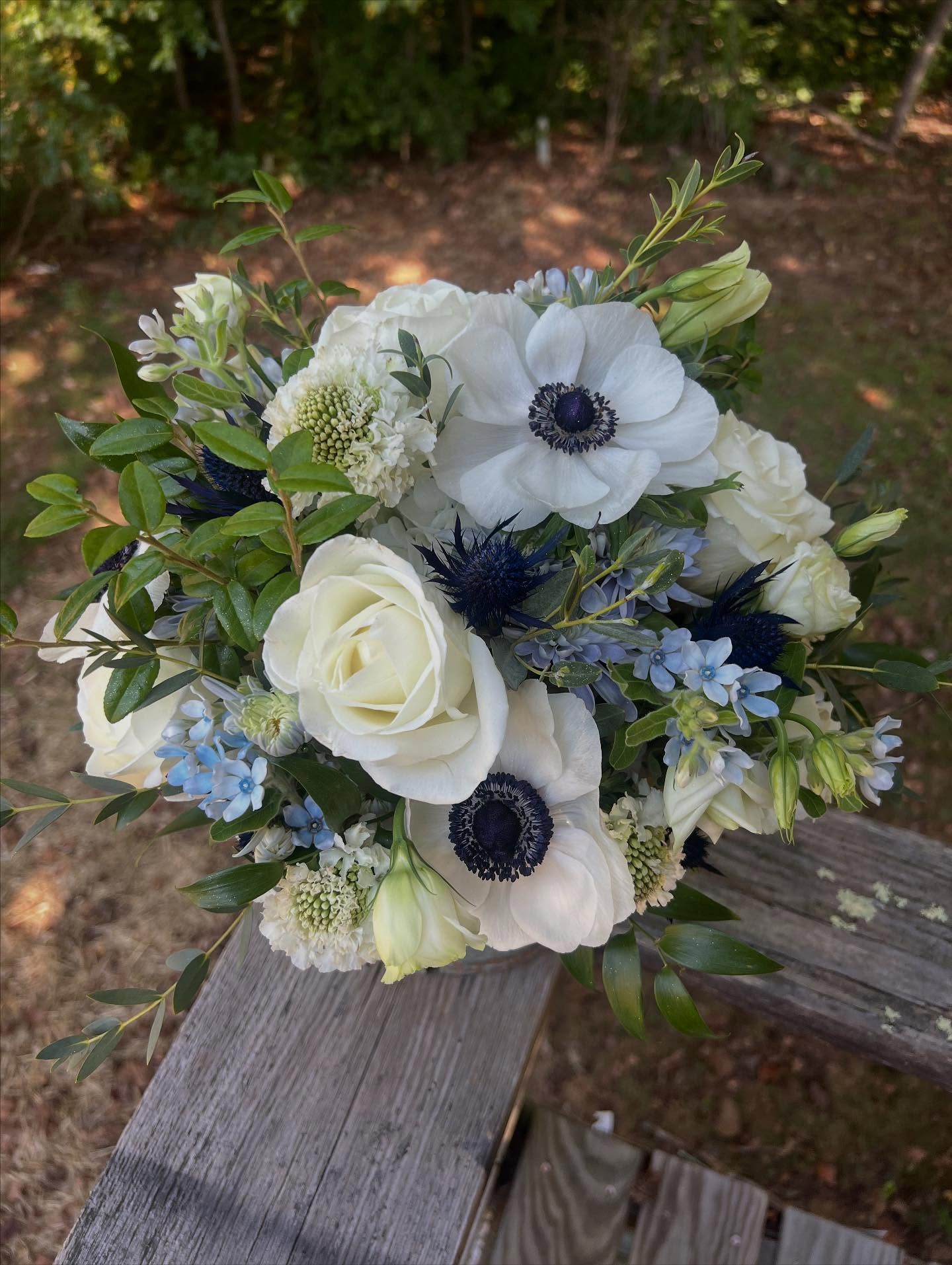 Sweet elopement with Destination Eloped….