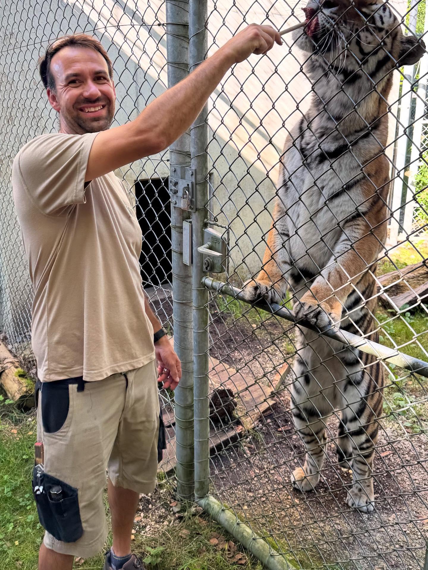 Das ist Stephan Gschwend. Zurzeit absolviert er den Technischen Kaufmann (TK) bei uns an der BVS St. Gallen und ich lernte ihn im BWL-Unterricht kennen, wo er mir seinen spannenden Weg und vor allem den besonderen Ort, an dem er arbeitet, erzählte – den Walter Zoo. 🦓🐒
Sein Weg:
➡️ EFZ als Lastwagen-Chauffeur bei der Firma Hollenstein
➡️ Danach Berufserfahrung in verschiedenen Bereichen
➡️ Seit 5 Jahren Walter Zoo, heute als Abteilungsleiter Logistik & Unterhalt tätig
Trotz 100% Arbeitspensum investiert Stephan einen Schultag pro Woche in seine Weiterbildung. Besonders spannend findet er das Rechnungswesen – weil dort „alles klar schwarz auf weiss“ ist.
Sein Ziel: kaufmännisches Know-how erweitern, z.B. in der Budgetierung, und dieses Wissen direkt im Walter Zoo einzubringen. Schon heute ist klar: Nach Abschluss des Technischen Kaufmanns möchte Stephan mit bei seinem Arbeitgeber bleiben und zusätzliche Aufgaben übernehmen können.
Stephan lud mich zusammen mit meiner Tochter in den Walter Zoo ein. Zuerst dachte ich an ein Foto von ihm in der Nähe eines Tigers – doch er hatte etwas viel Spezielleres im Sinn: eine Tigerfütterung nur für uns. Das war unglaublich. Danke Stephan, danke Walter Zoo.
👉 Mehr zum Lehrgang Technischer Kaufmann: https://lnkd.in/ew2tU5Wm
#bvsstgallen #technischerkaufmann #weiterbildung #walterzoo #karriere