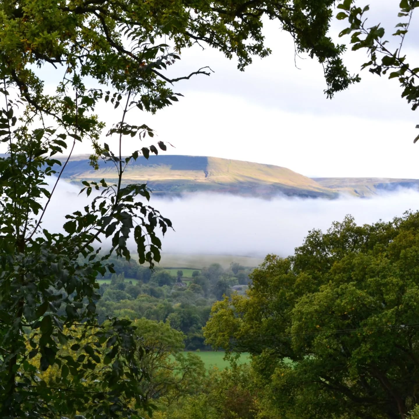 It's been one year since I moved out of Birmingham where it all began (shout out @soj_bcu ) and relocated to the Herefordshire countryside... I'm still obsessed with how different the view looks every day! I don't think I'll ever get bored of looking at all these shades of green 💚