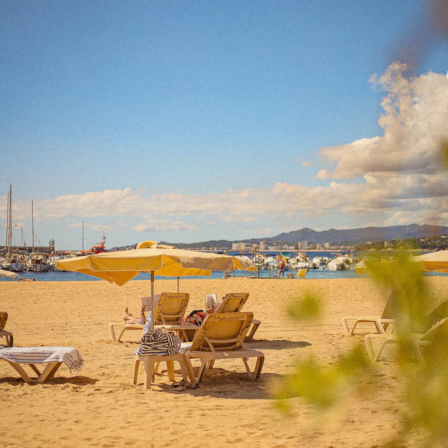 SEPTEMBER⛱️
Aquesta setmana continuem oberts cada dia de 12 a 22h, i la nostra cuina, de 13 a 21h!