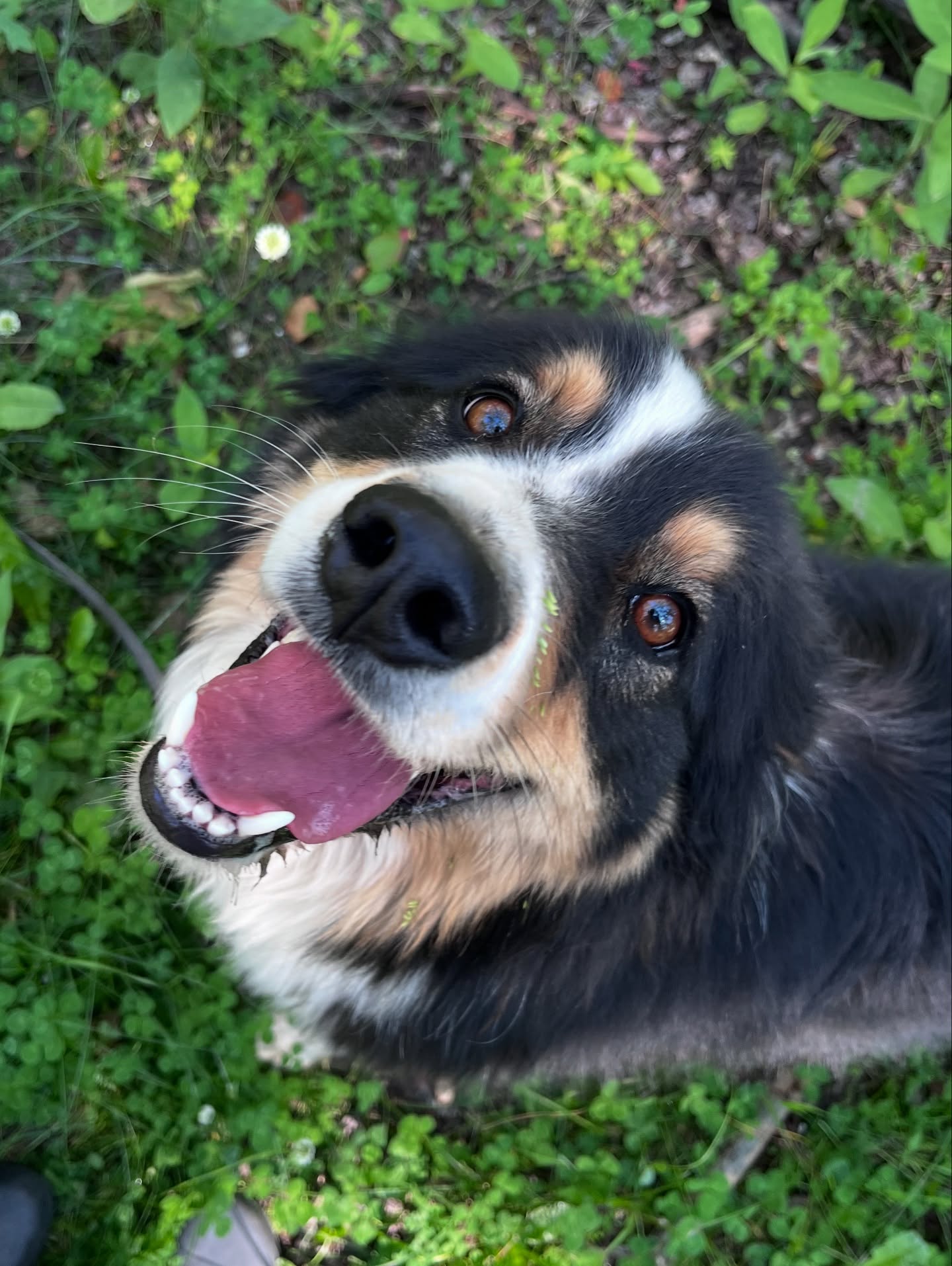 Smiles all ‘round 🐾 Thank you to all our amazing clients, both old and new, for making this another wonderful summer at ‘Round The Bend! 💚