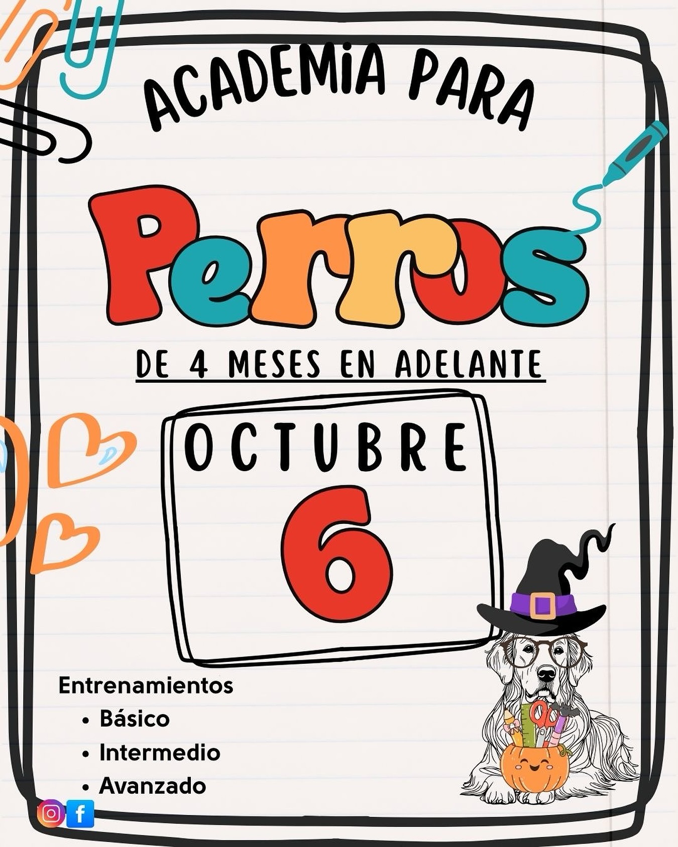 Durante dos semanas completas, su perro compartirá con nosotros mientras trabajamos en:
✅ Los cinco comandos esenciales
✅ Caminatas tranquilas sin halar la correa
✅ Y cualquier comportamiento específico que necesiten mejorar 🐶
Este programa está diseñado para ayudarles a construir una relación más clara, equilibrada y disfrutable con su perro, en un ambiente estructurado y de mucho respeto. 🌟
📅 Los espacios son limitados — reserva tu espacio hoy mismo.
**WhatsApp 787-232-5994
Será un gusto tener a su perro con nosotros. 💛
#caribbeancanineacademy #puertorico #carolinapr #entrenamientodeperros #dogtraining #clasesparaentrenador #trainthetrainer #perrospr #perros #dogs #dogsofinstagram #canine #k9 #puppy #puppies #puppiesofinstagram #cachorros #cachorrosdoinstagram